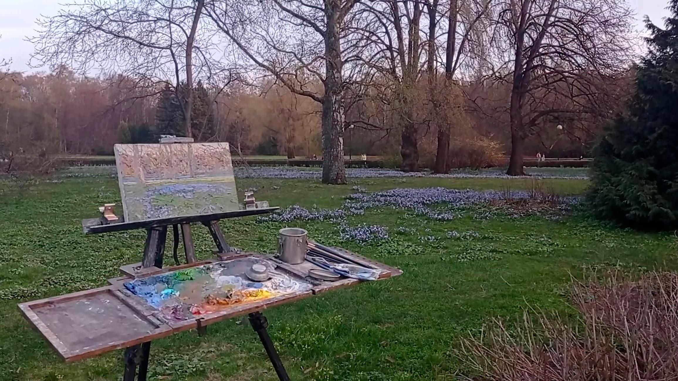 Erste blaue Blumen im Angebot 15