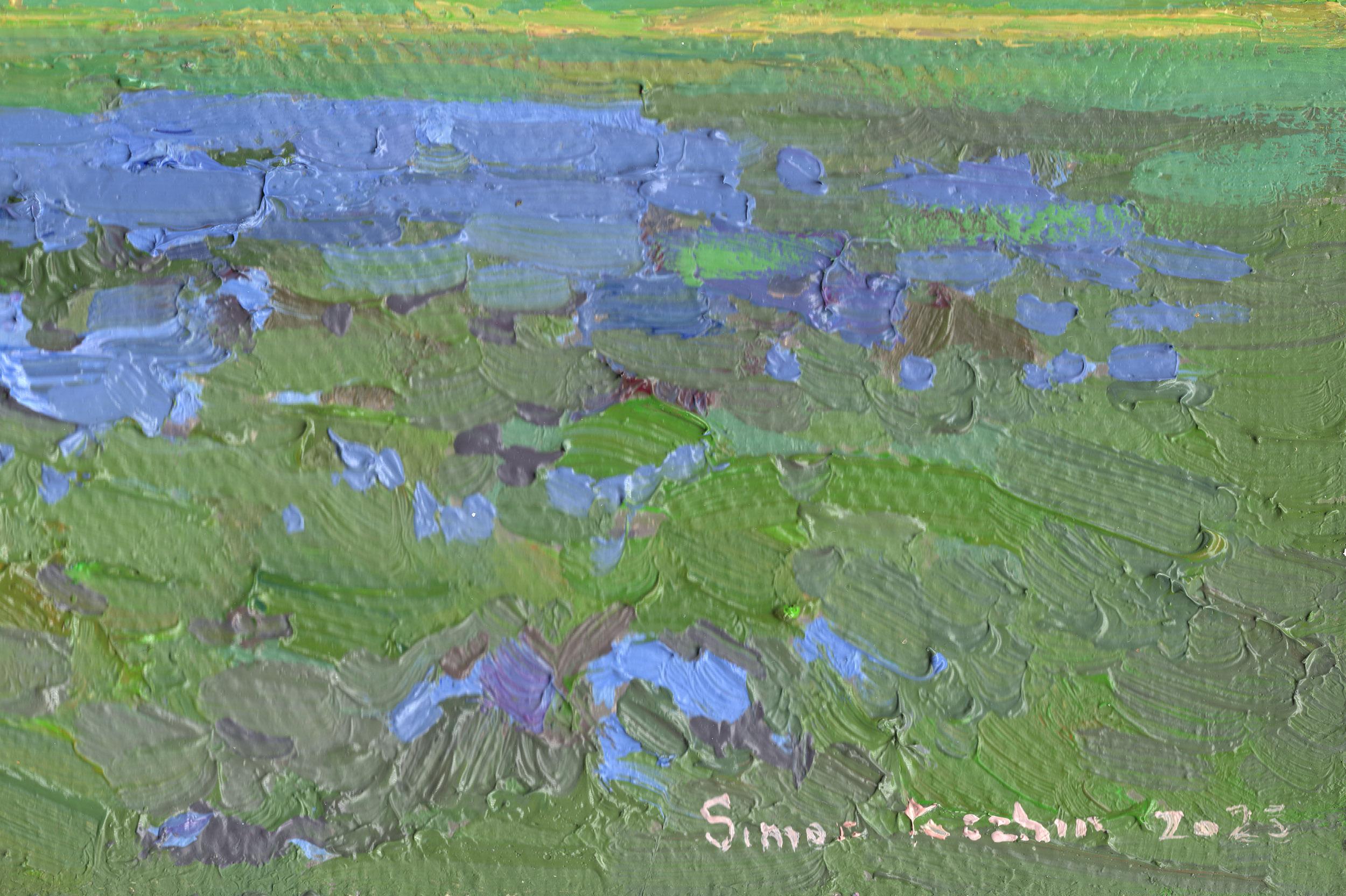 Dieses einfache Luftbild vermittelt anschaulich die Ruhe und Schönheit der stillen Frühlingslandschaft im Botanischen Garten. Im Vordergrund befindet sich ein üppiges Gras mit Flecken von zarten blauen und violetten Blüten des Licilia-Hains, die