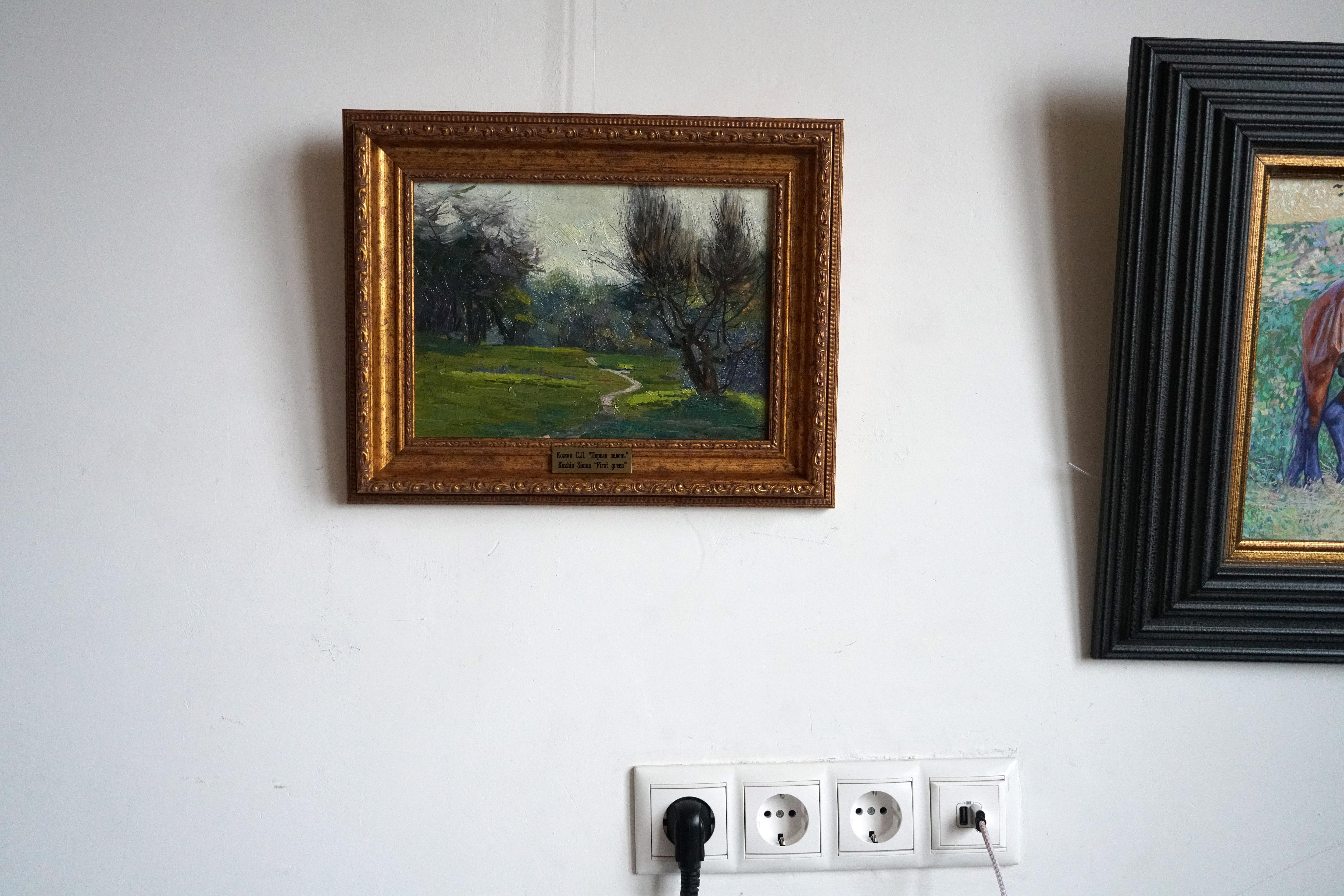 Erstes Grün im Angebot 2