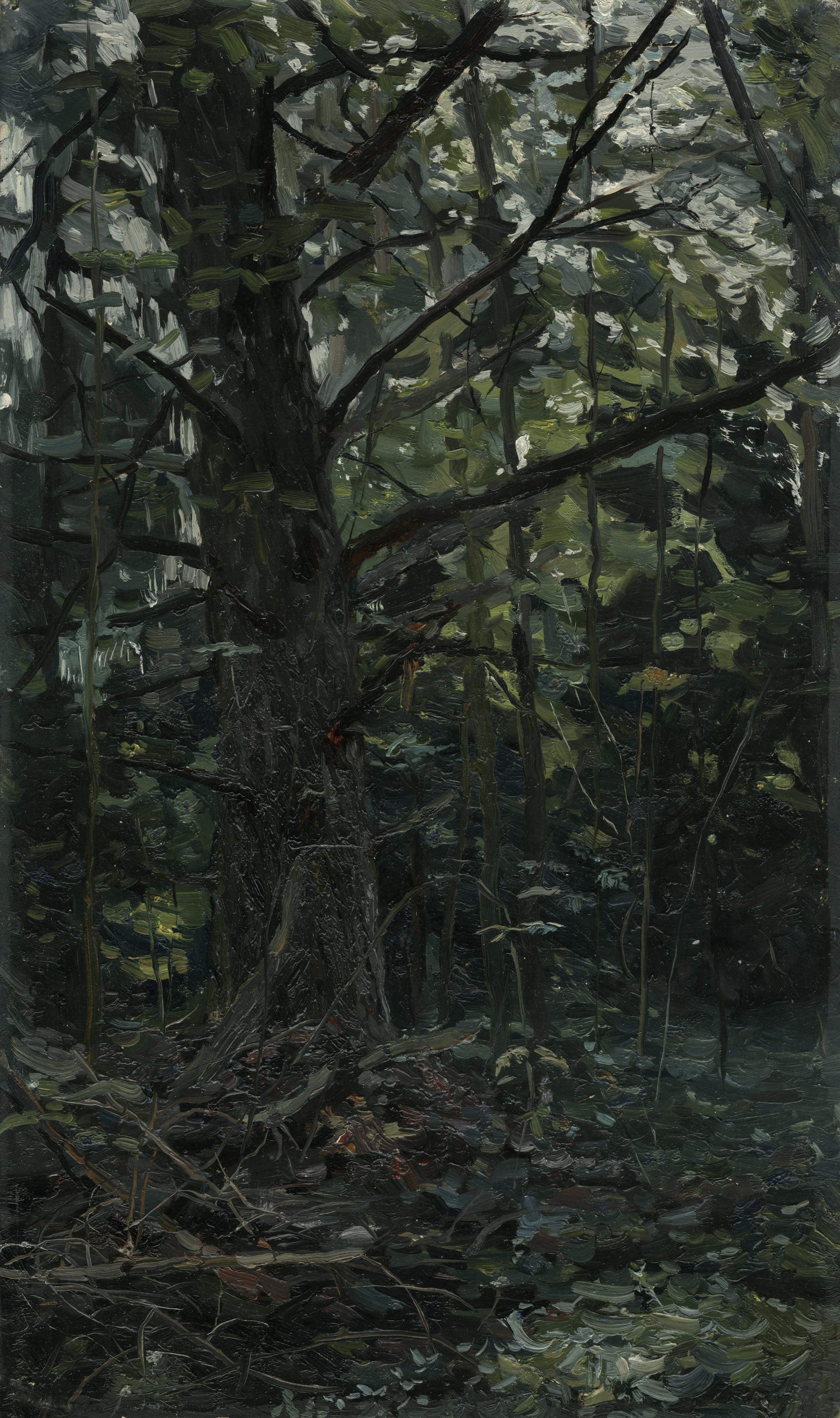 Forest. Fir-tree. Karmanovo, Impressionism painting, 2000, Oil on board, Framed