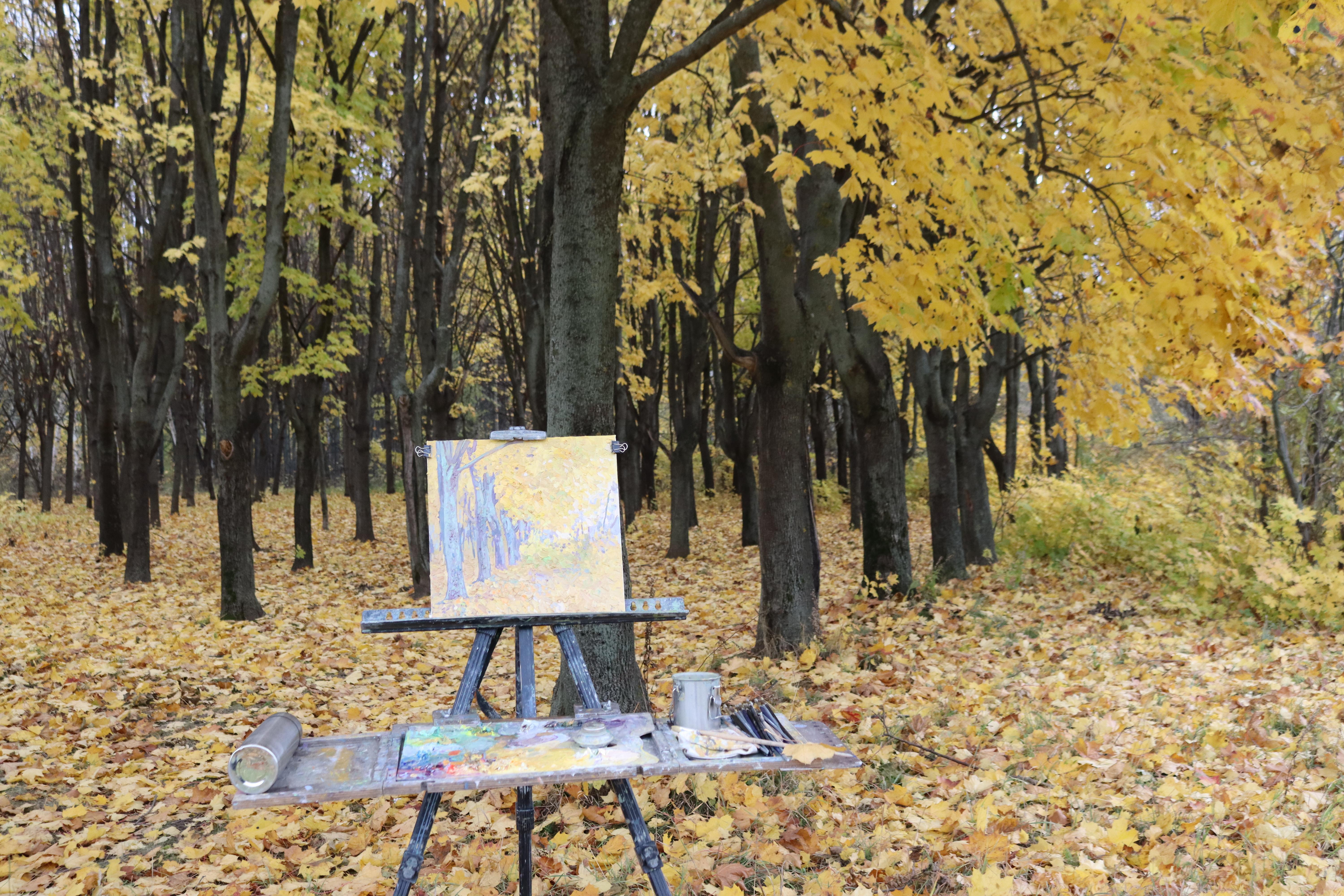 Golden maples in the park For Sale 15