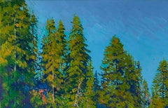 Goldener Sonnenuntergang. Der Fluss Chusovaya