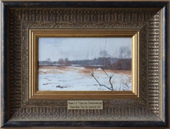 Gray day. Izmailovsky park