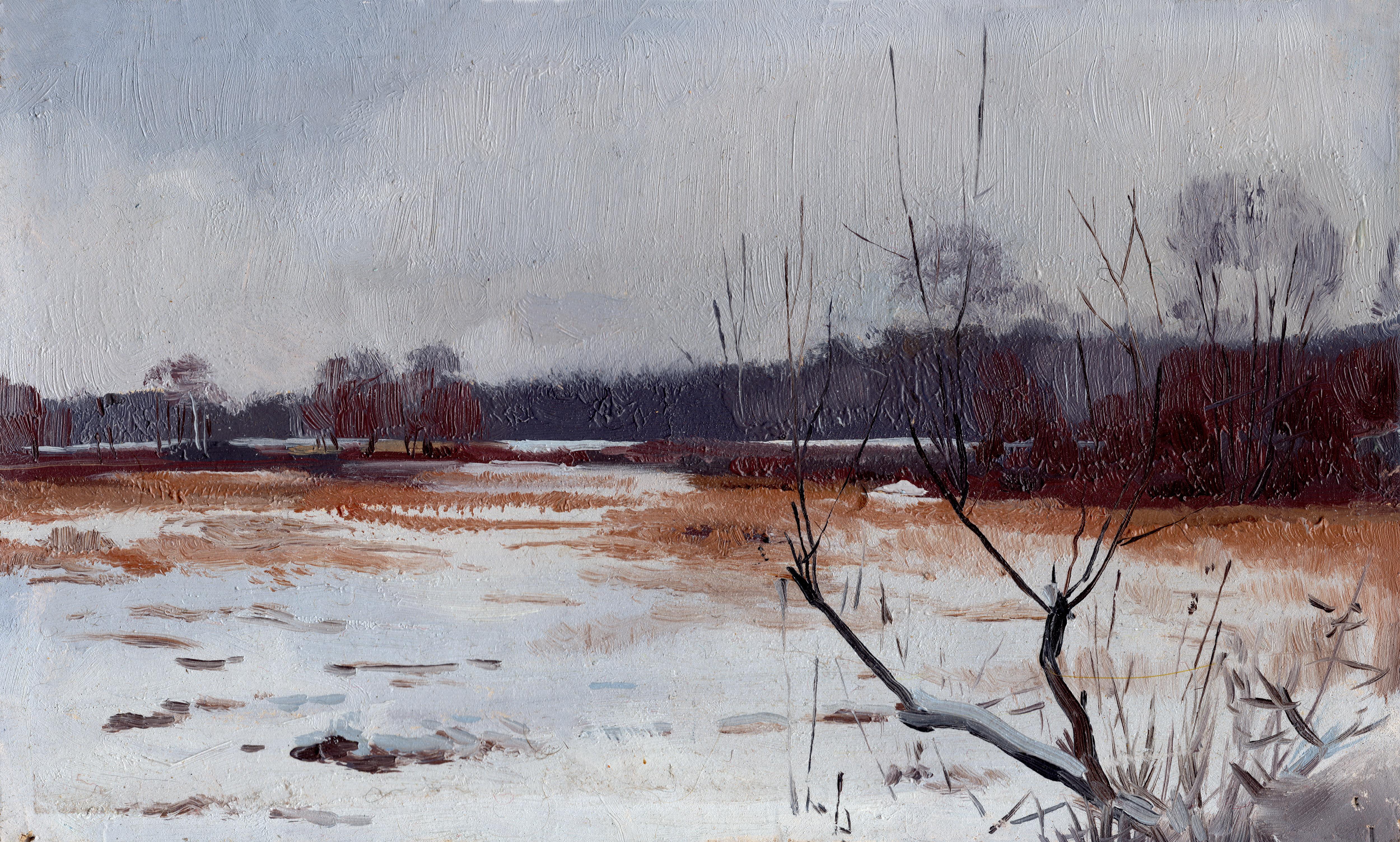 A cloudy day in a snowy winter park when the temperature is close to zero and the air is very humid. Snow and sky almost merge in tone and delicate combinations of gray pastel colors of dry grass and trees gradually dissolve into the