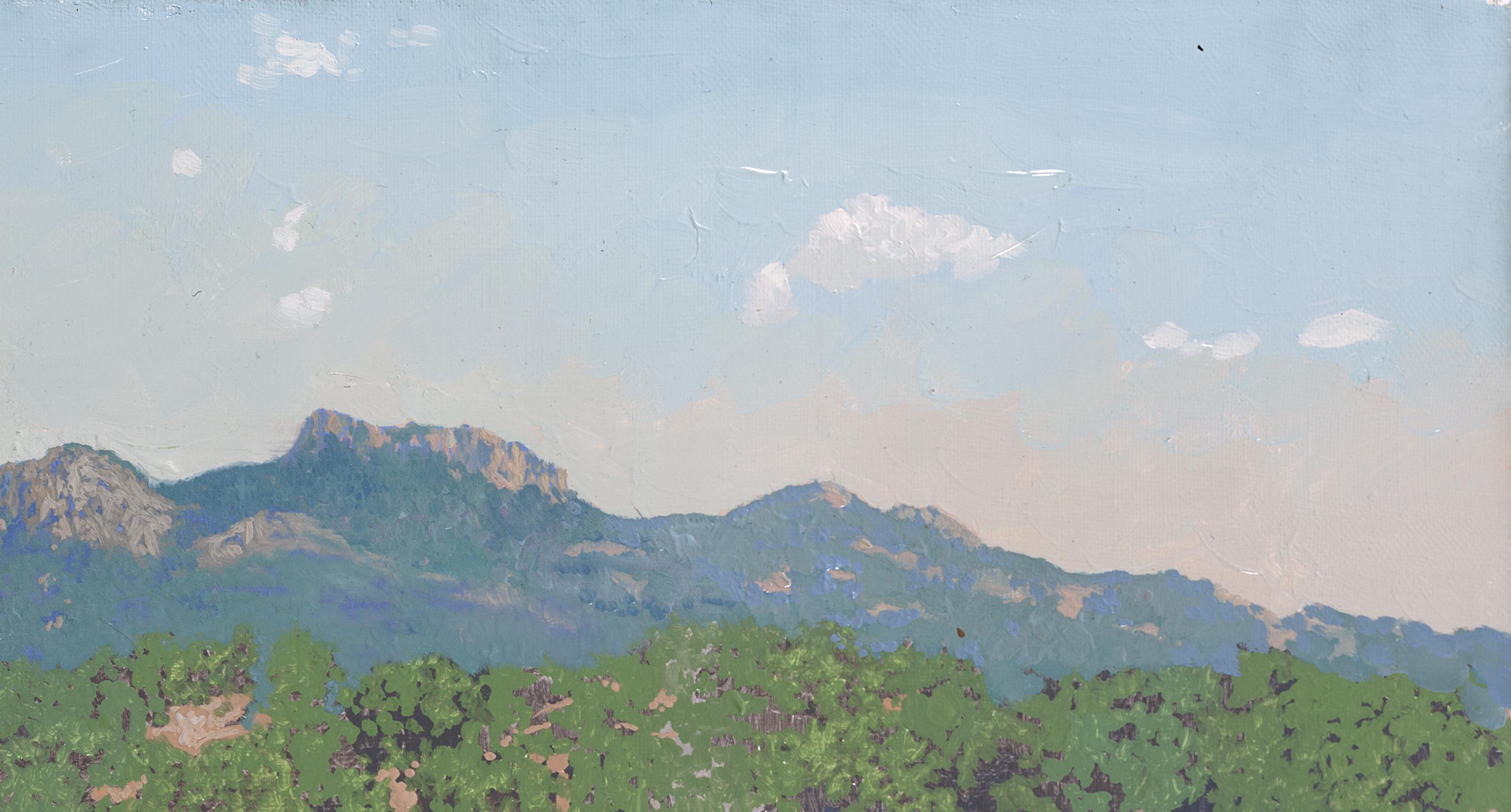 Grüner Canyon (Grau), Landscape Painting, von Simon Kozhin