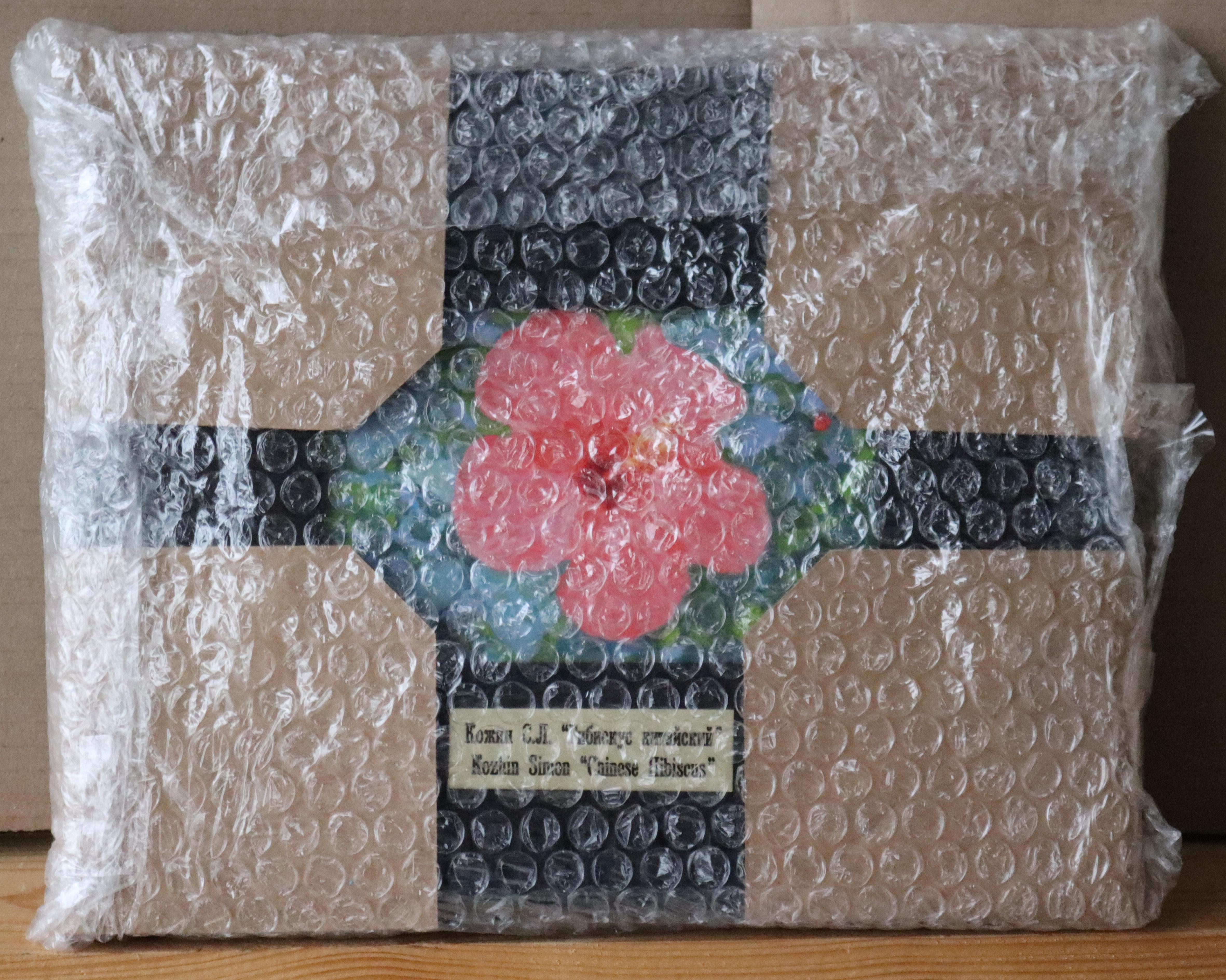 Hibisco chino en venta 4