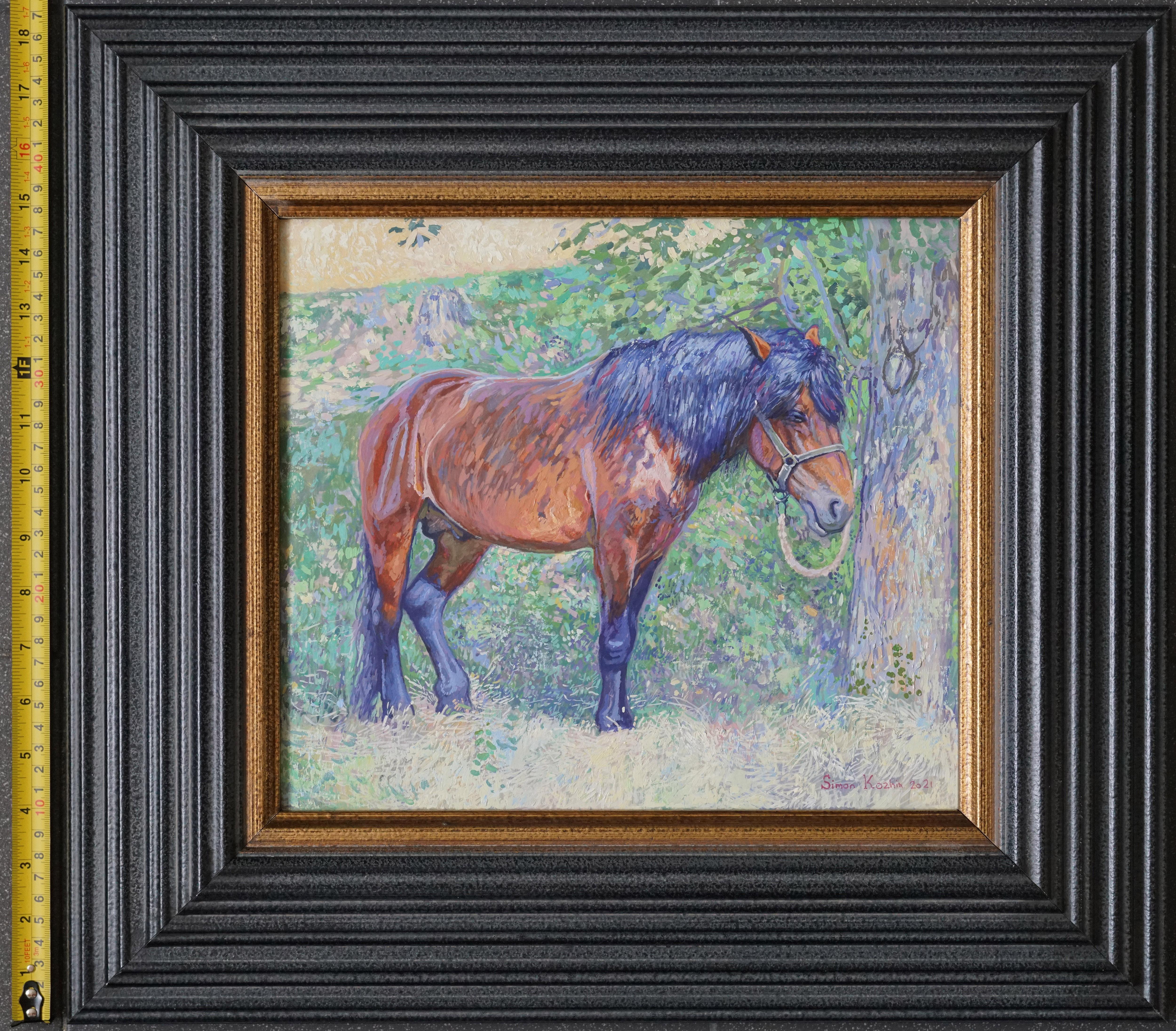Horse in the shade of trees For Sale 7