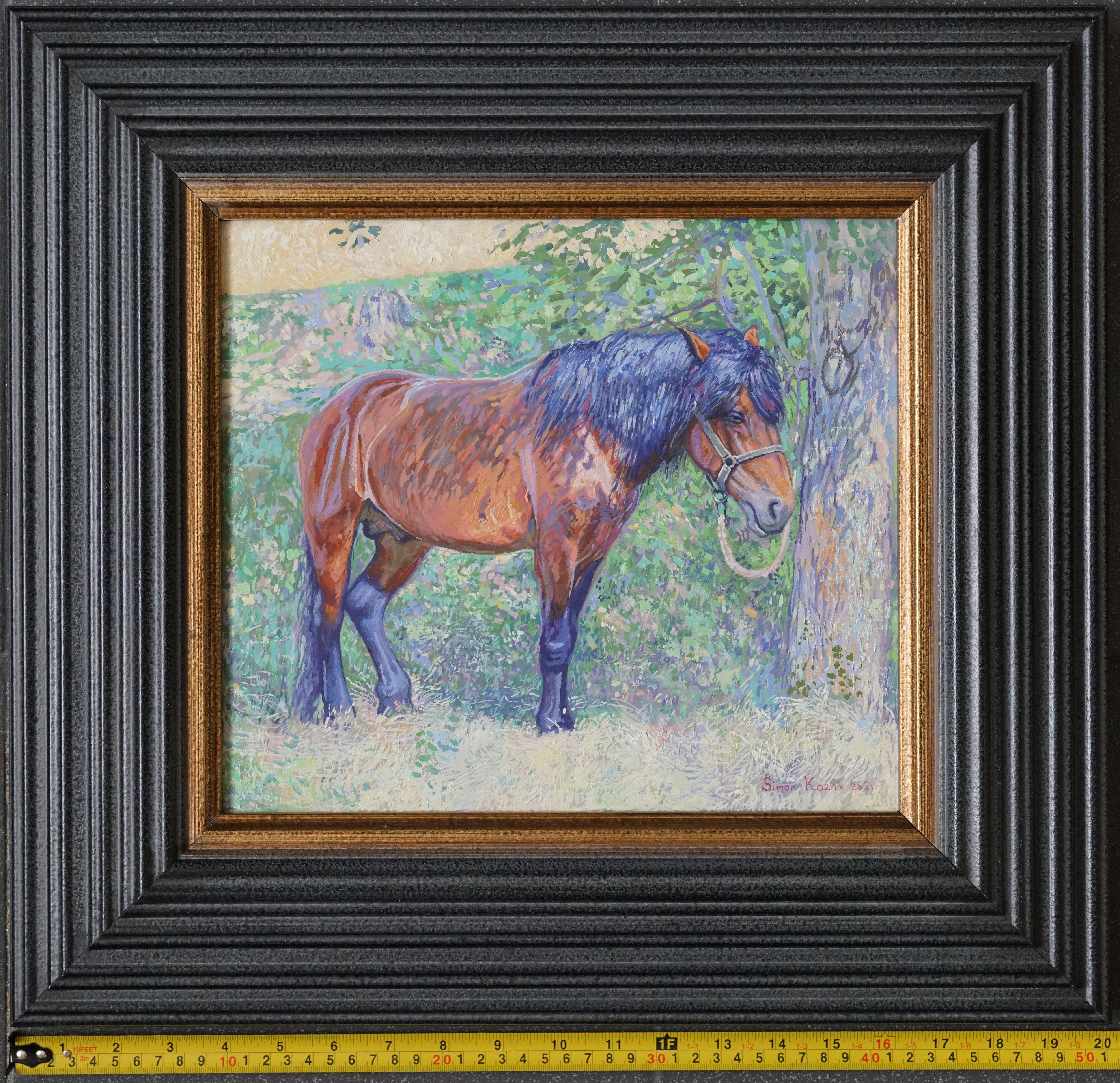 Horse in the shade of trees For Sale 8