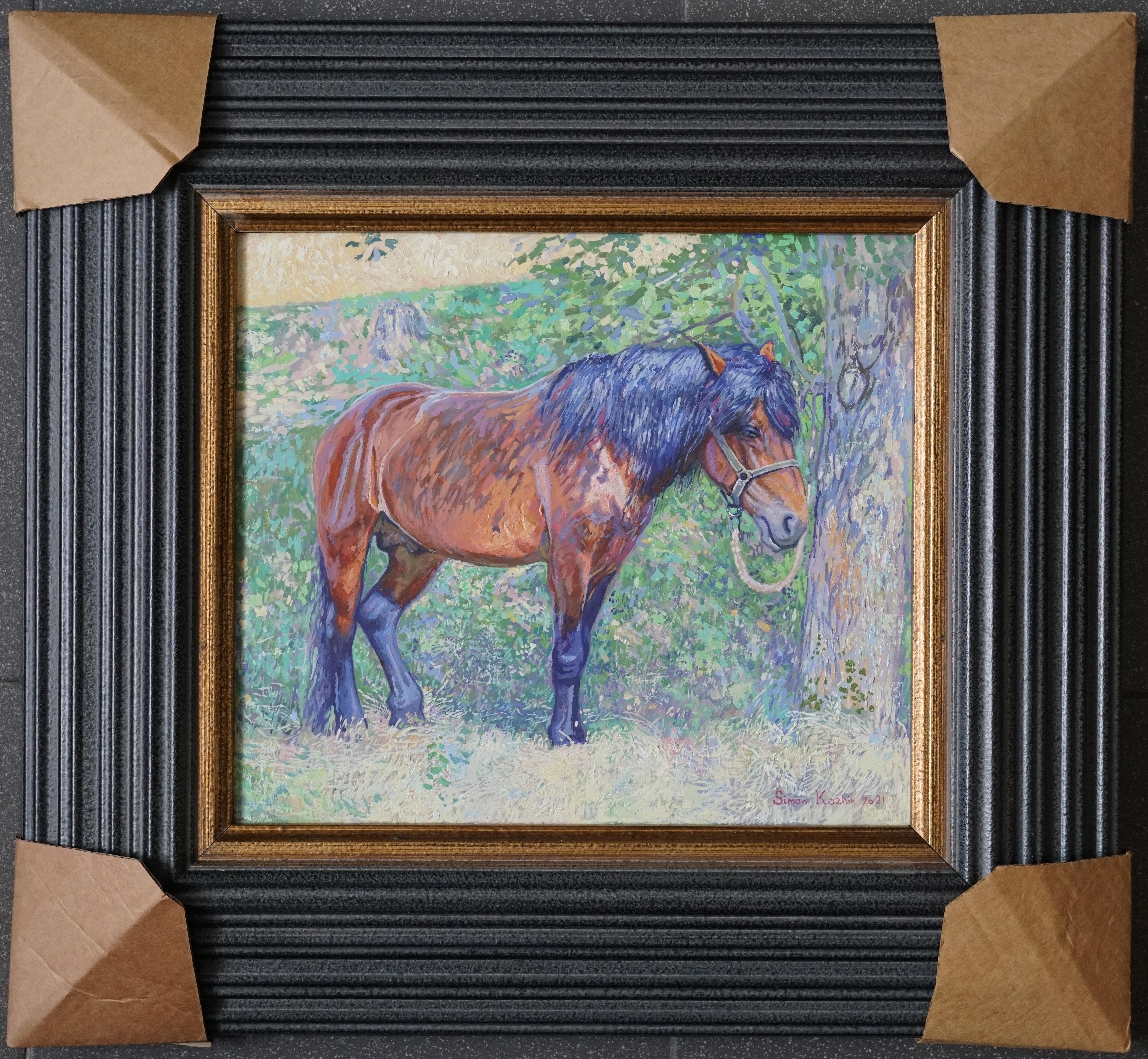 Horse in the shade of trees For Sale 11