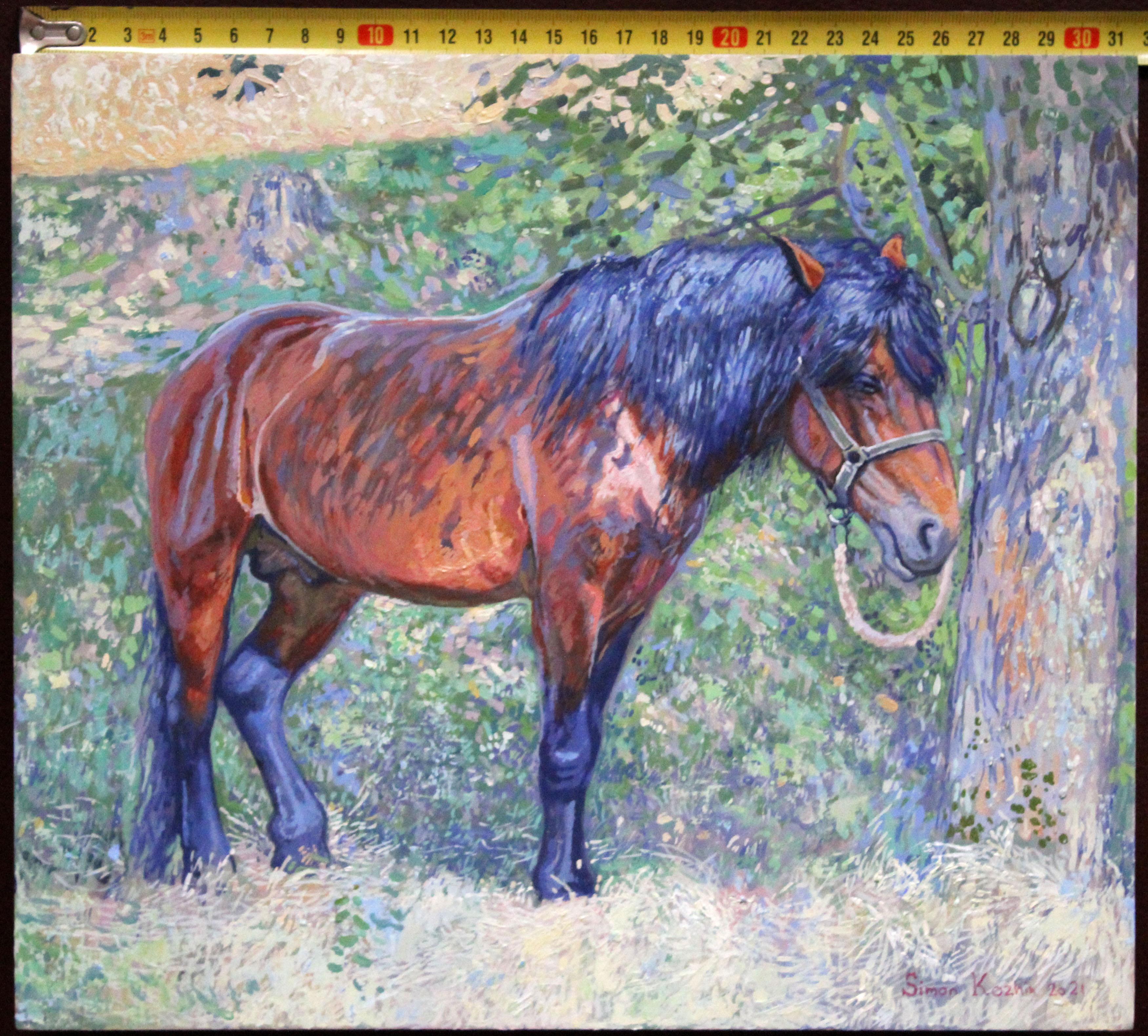 Horse in the shade of trees For Sale 3