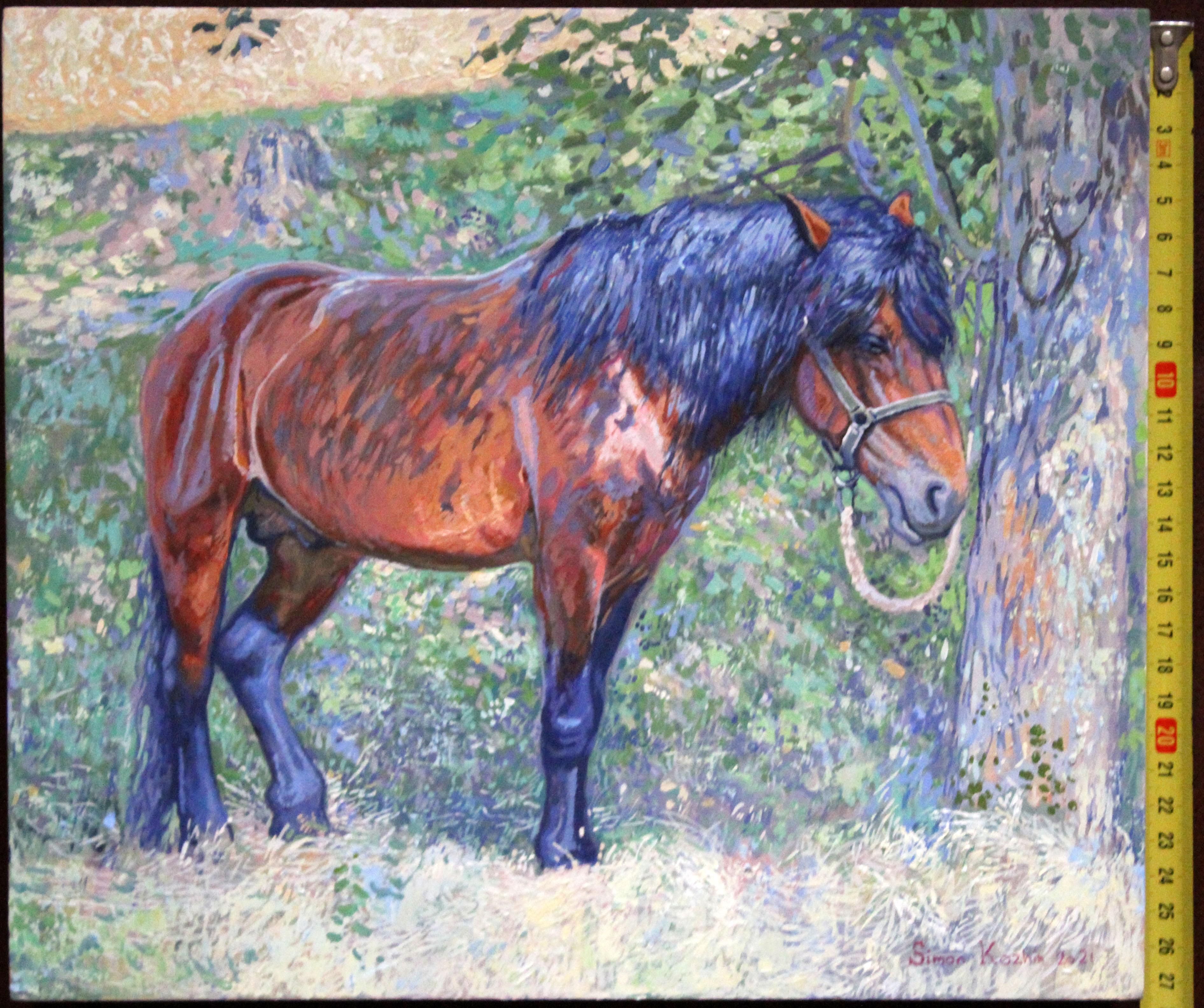 Horse in the shade of trees For Sale 4