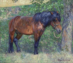 Horse in the shade of trees
