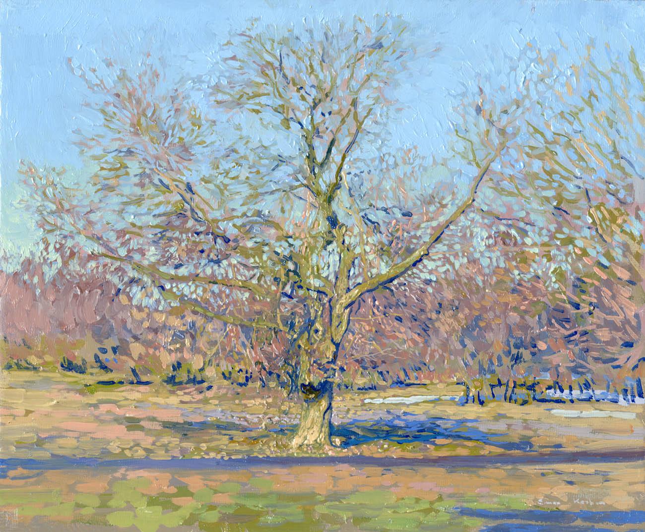 In early spring. Willow tree in Kolomenskoye by Simon Kozhin