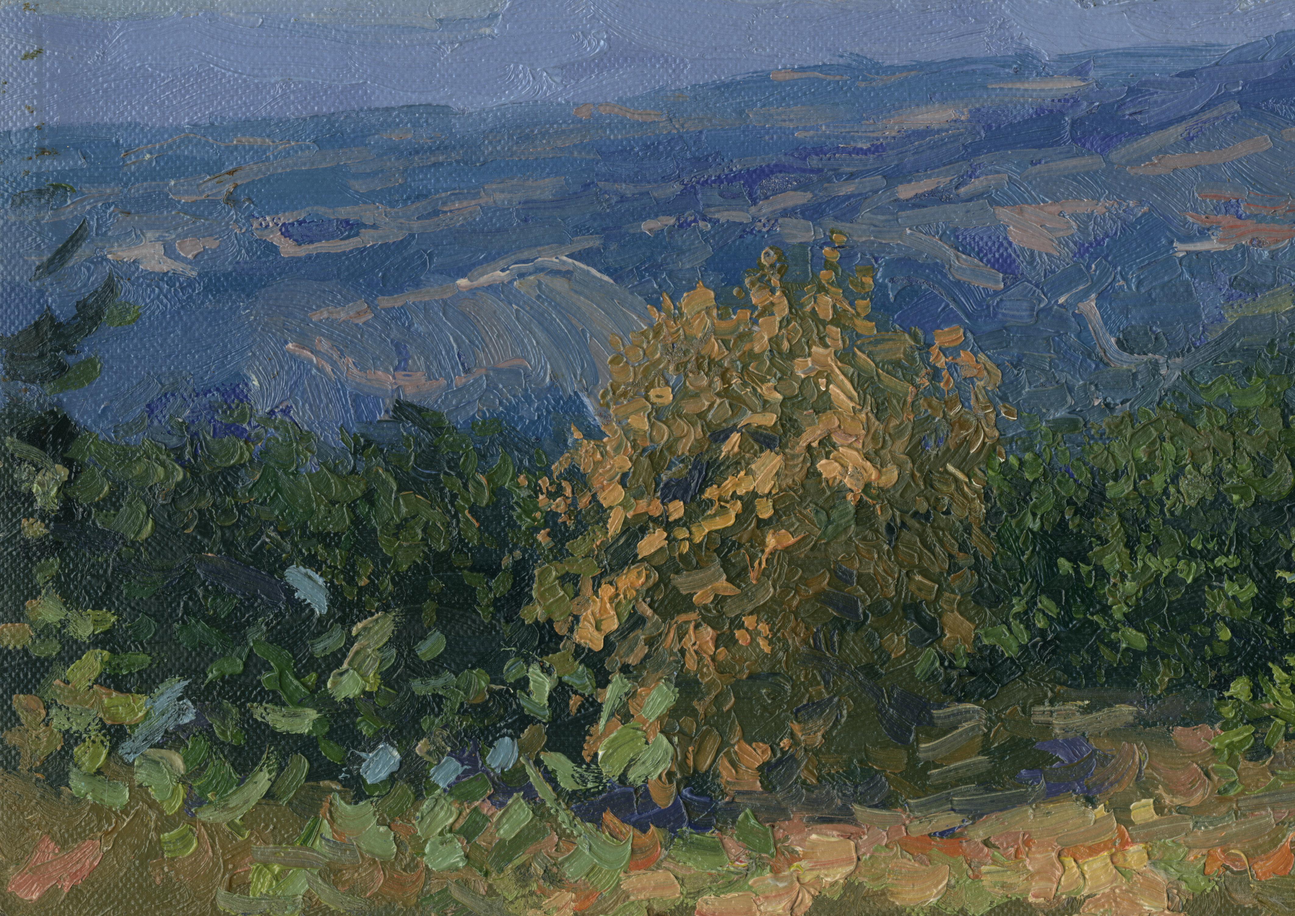 En las montañas de Crimea en venta 13