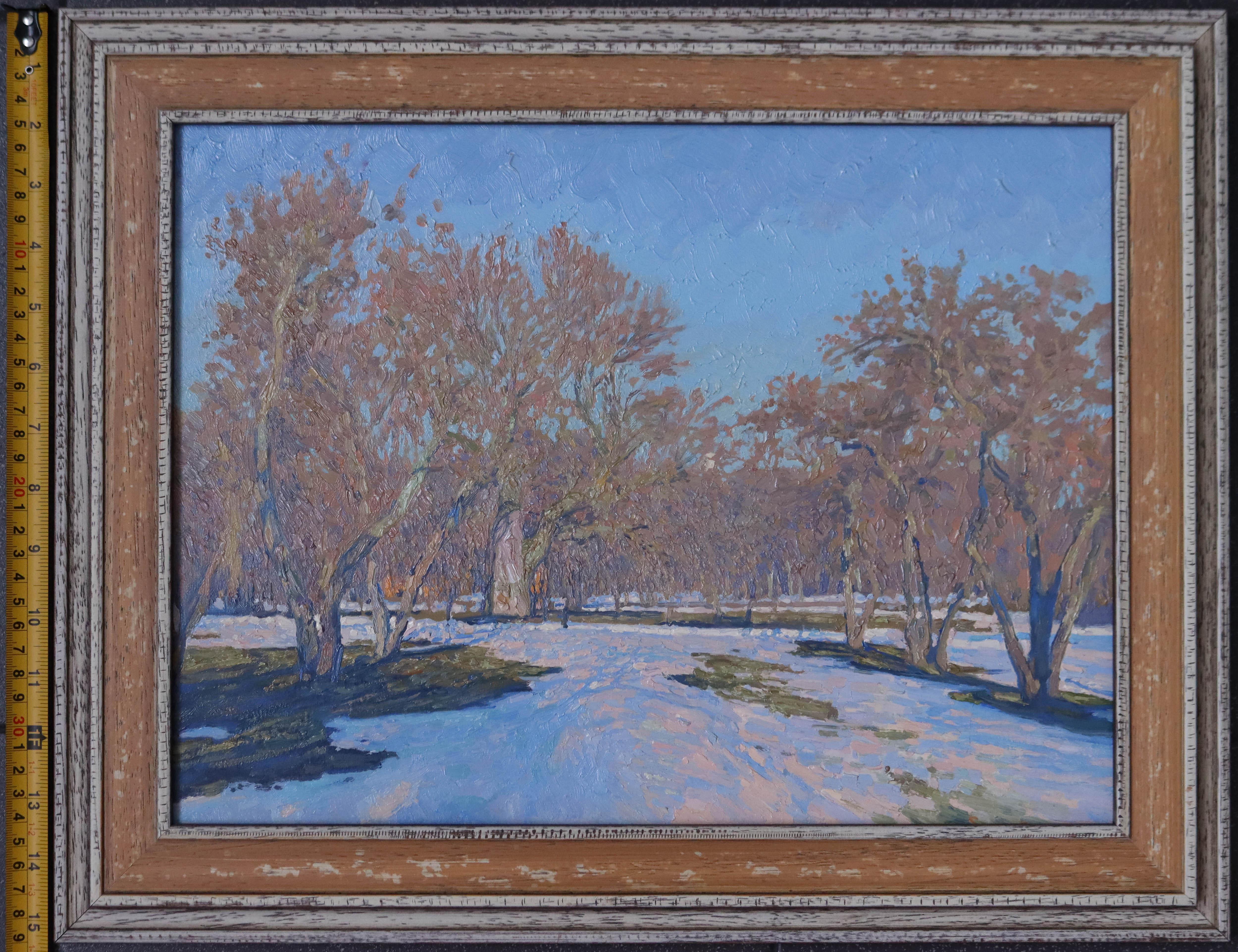 Última nevada en Kolomenskoye. Marzo en venta 3