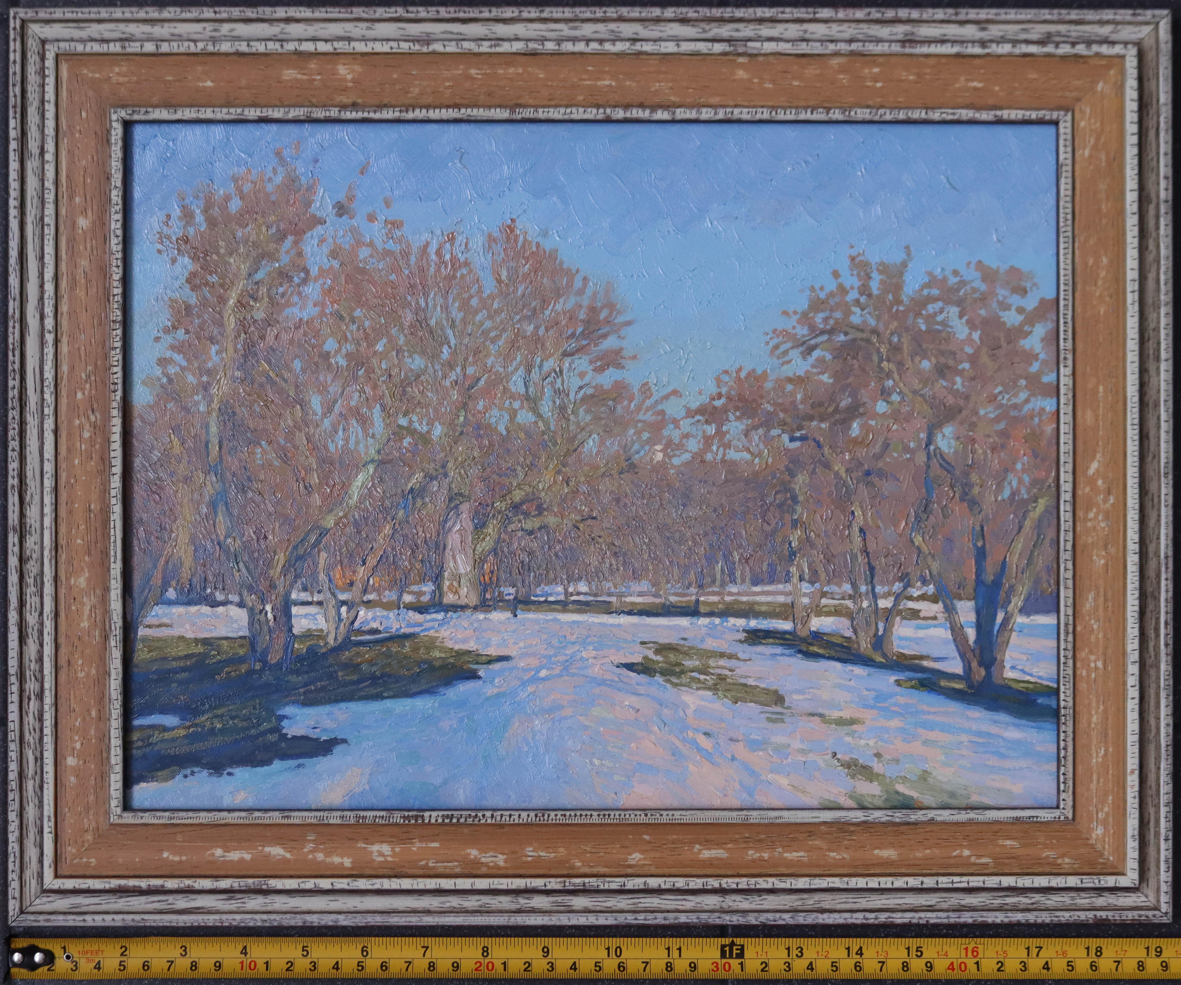 Última nevada en Kolomenskoye. Marzo en venta 4