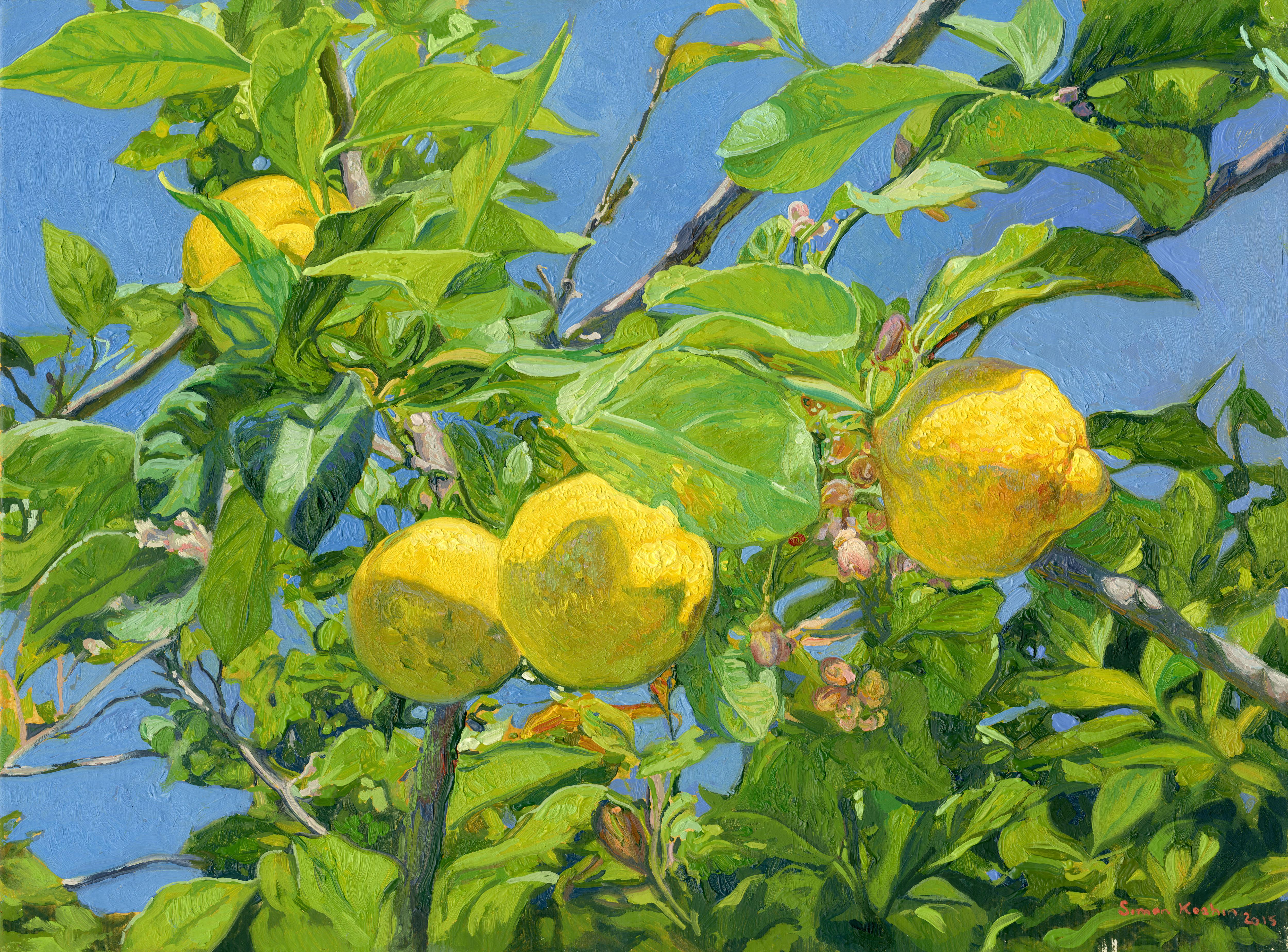 Simon Kozhin Landscape Painting - Lemons, Oil Painting Impressionist Style, Still life fruit, Citrus garden trees