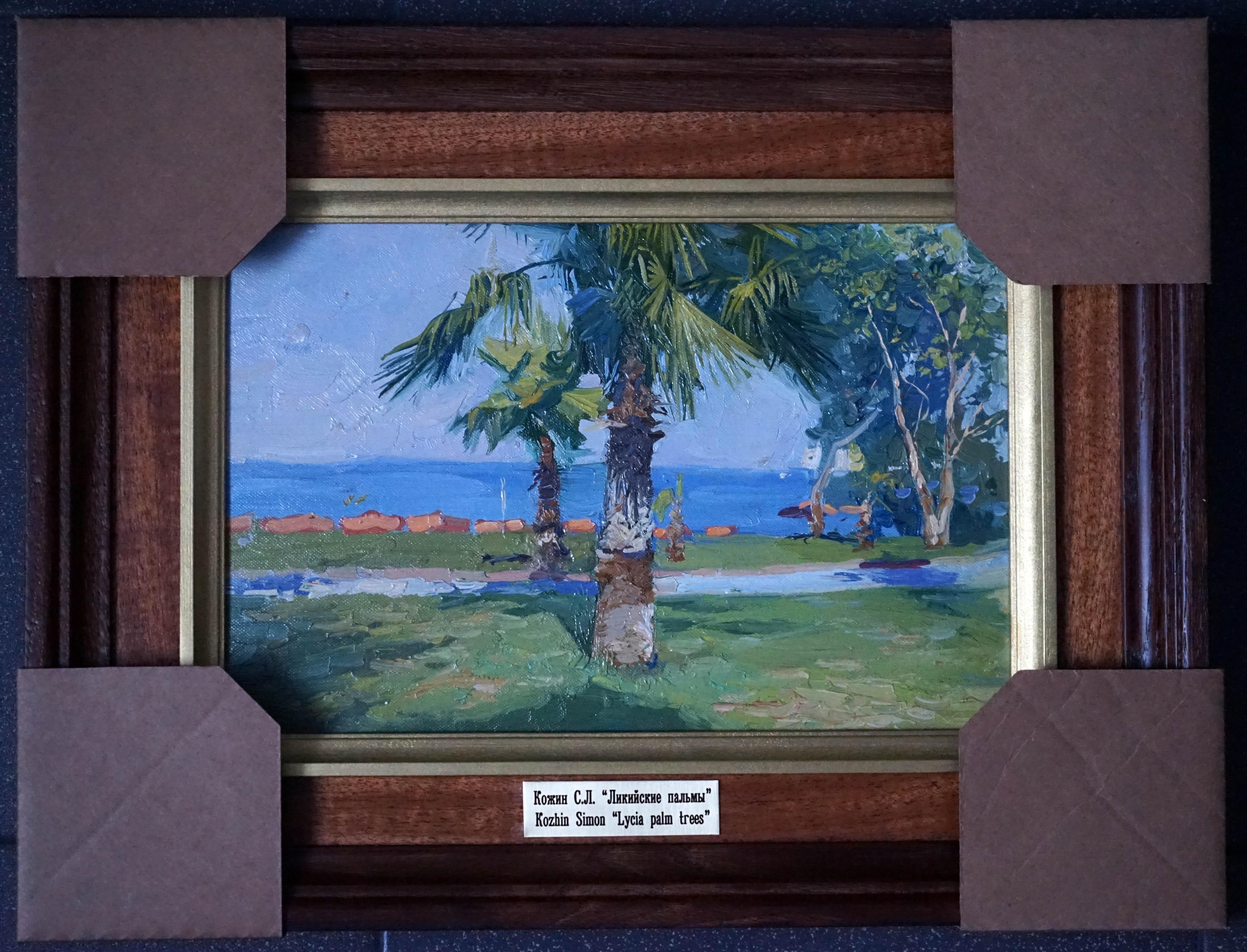 Palmeras licias en venta 5