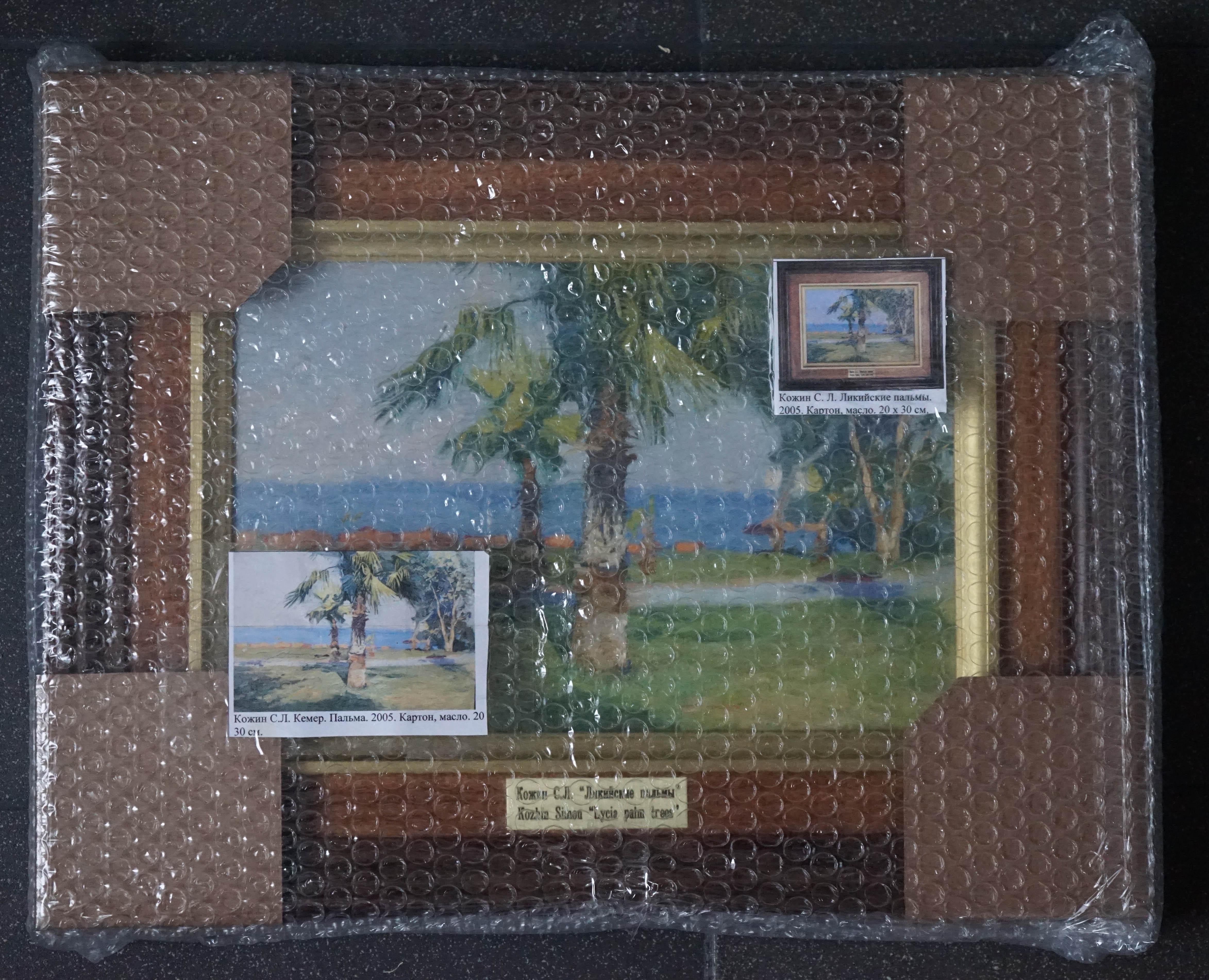 Palmeras licias en venta 6