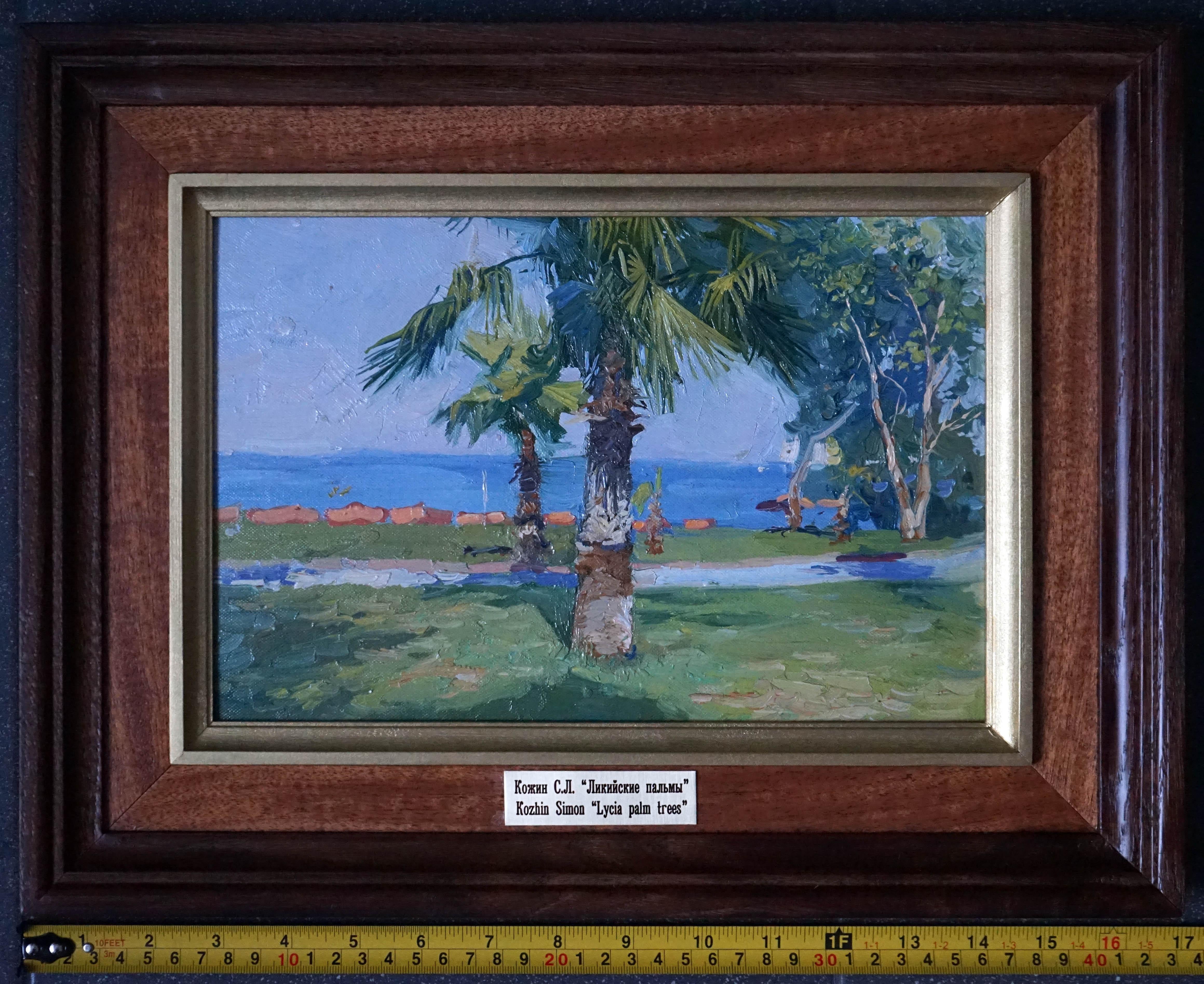 Palmeras licias en venta 1