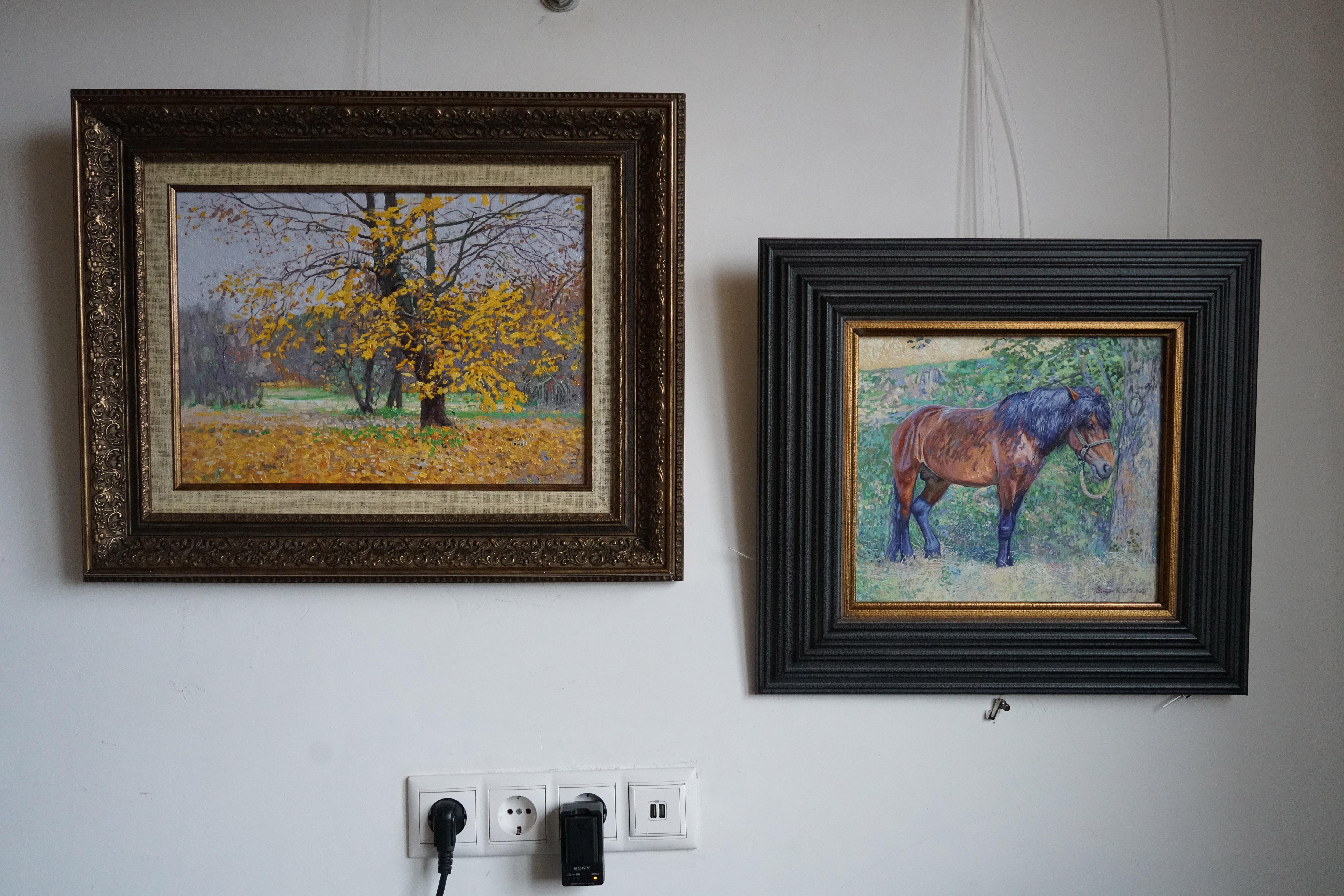 Maple. The last leaves im Angebot 5