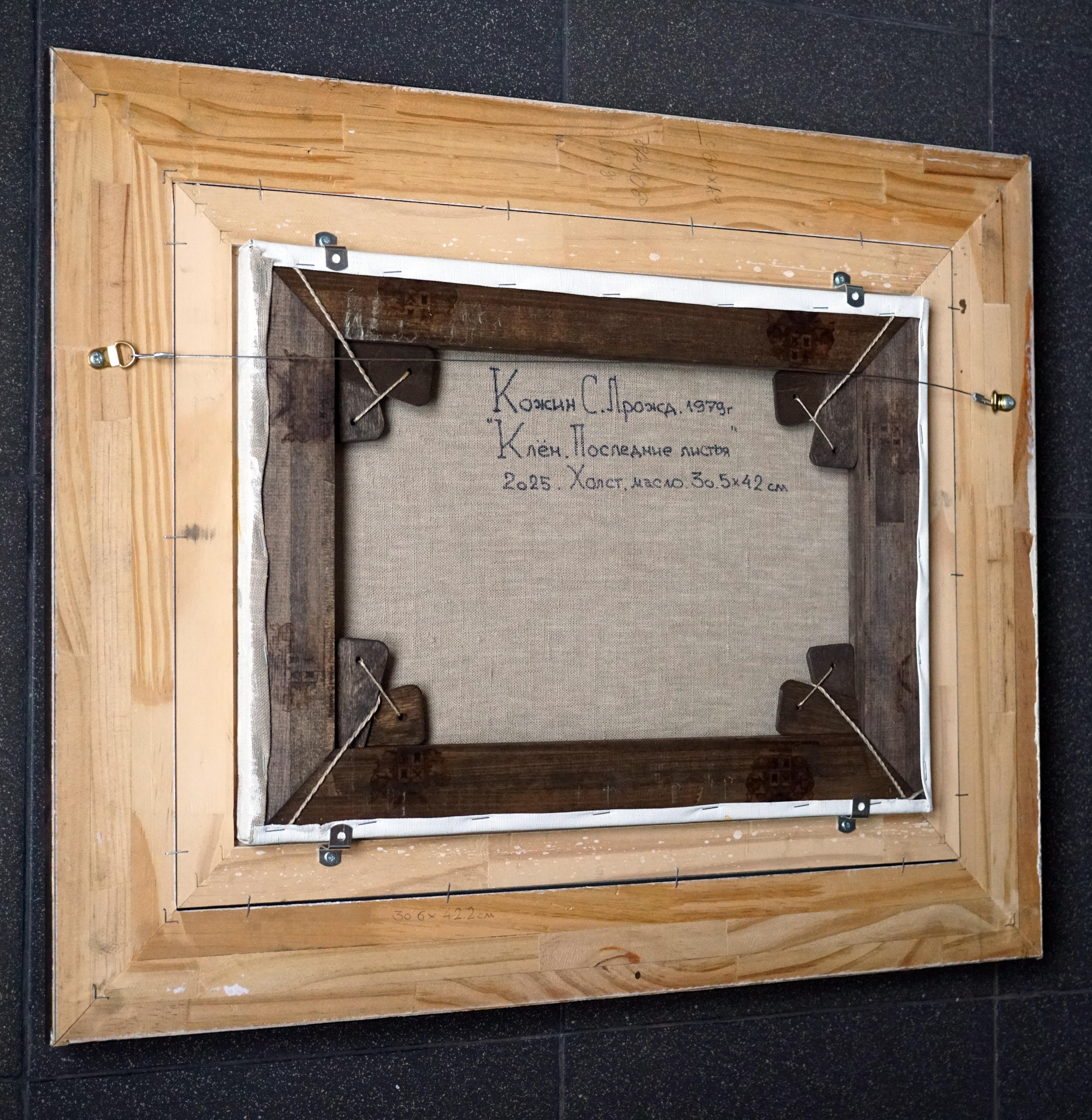 Maple. The last leaves im Angebot 11