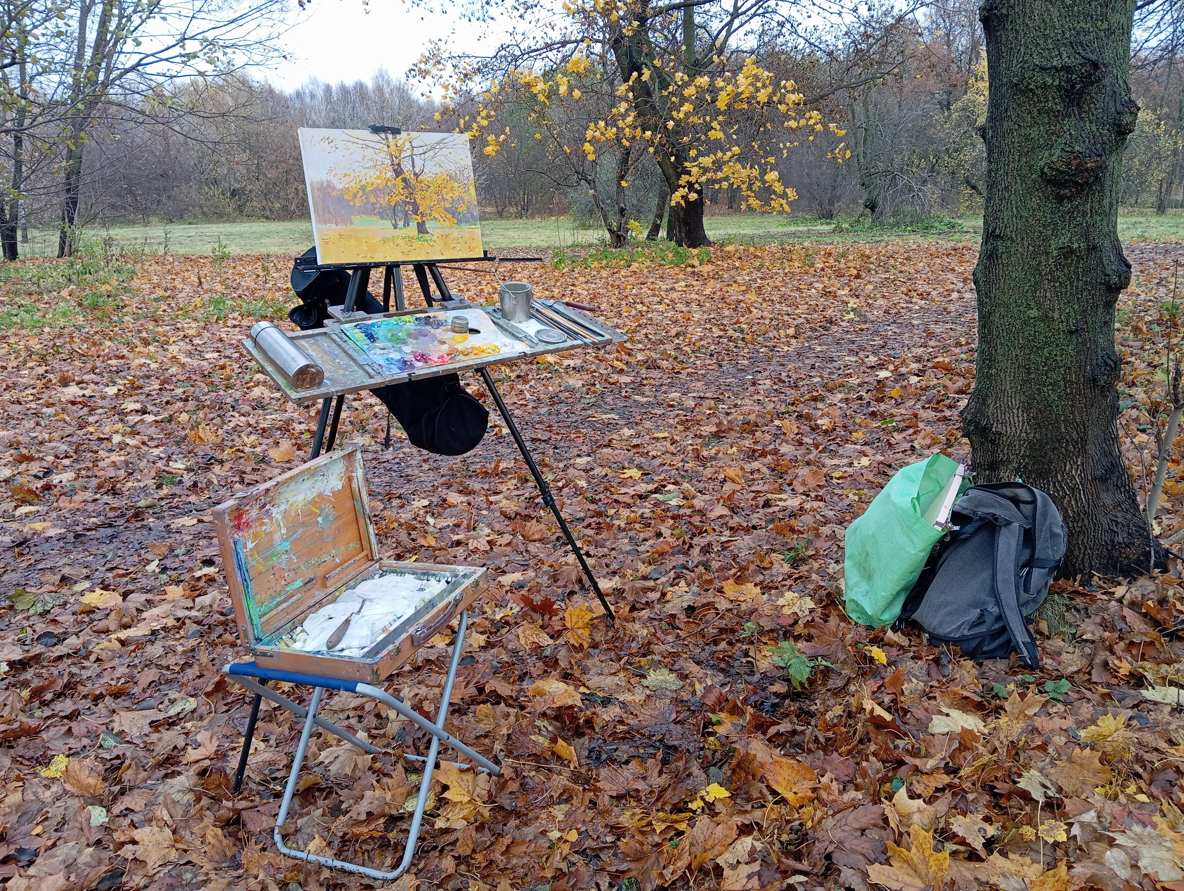 Maple. The last leaves im Angebot 12