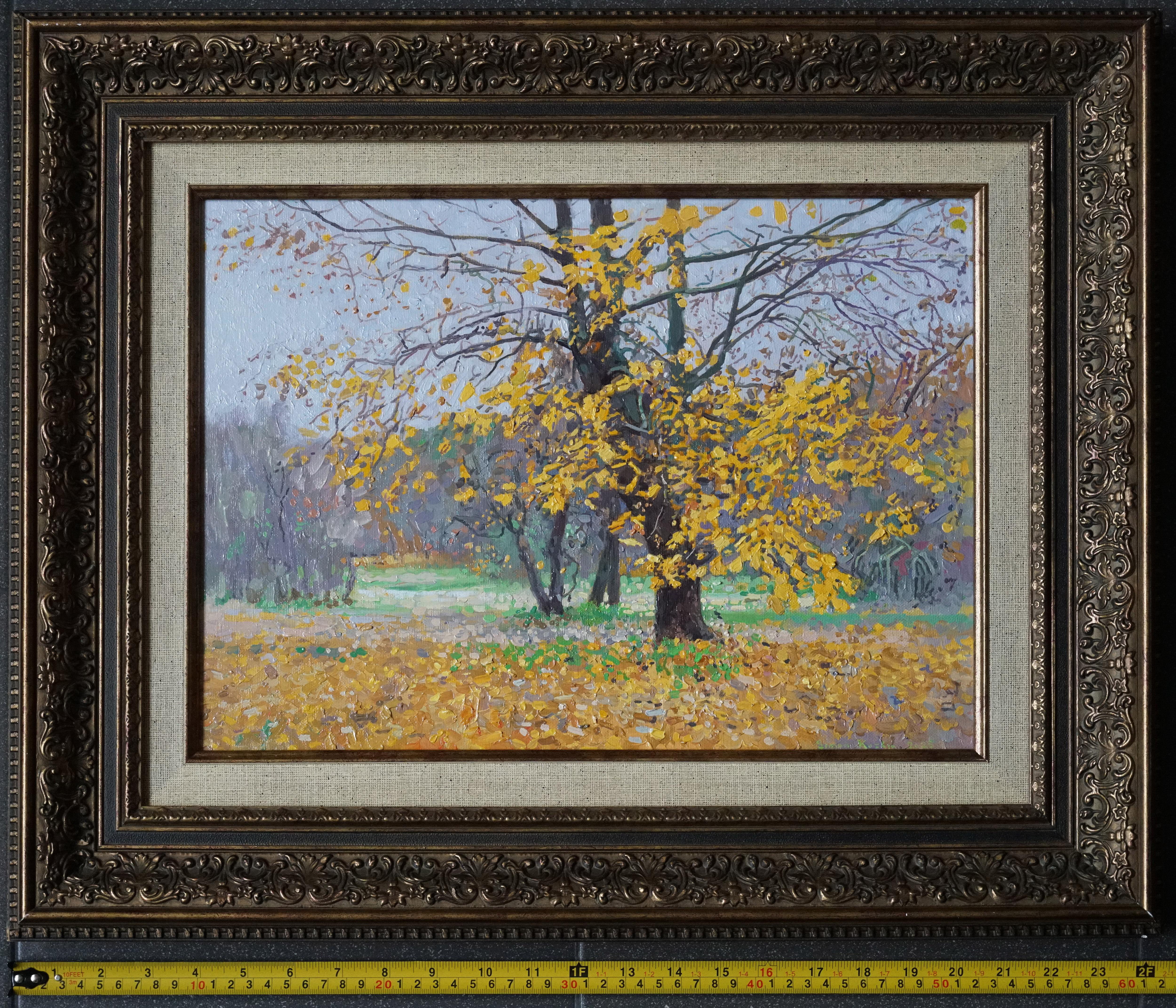 Maple. The last leaves im Angebot 2