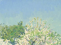 May. Apple trees in bloom. Kolomenskoye Estate