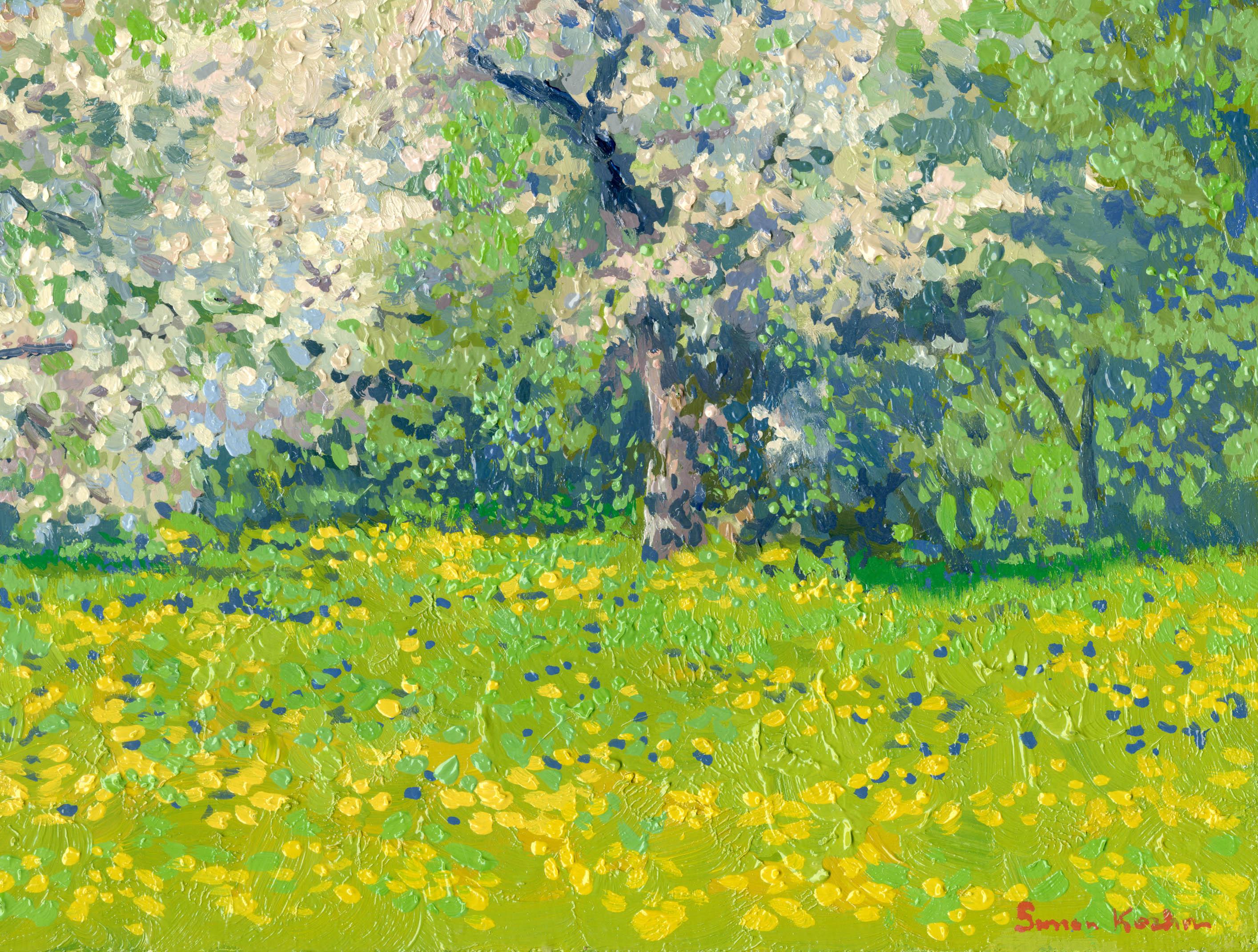 Durante todo el año, la naturaleza espera este breve momento maravilloso en que todo florece y florece. Las mariposas y los abejorros vuelan y se apresuran a hacer su trabajo. El parque en este momento se llena de amor, está por todas partes, y