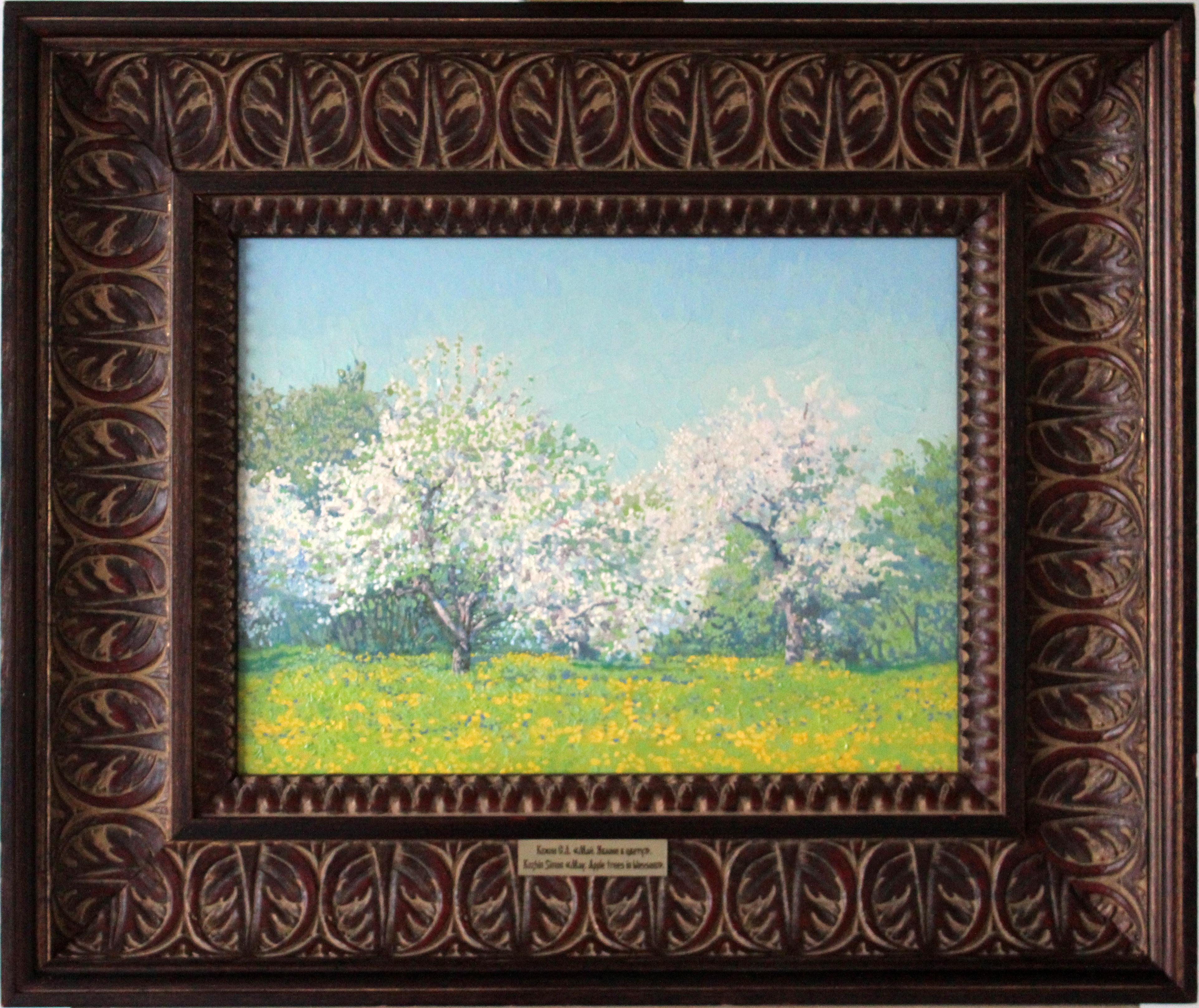 Mayo. Manzanos en flor. Finca Kolomenskoye en venta 2