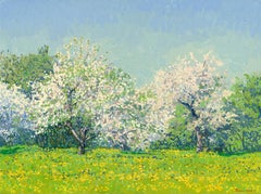 May. Apple trees in bloom. Kolomenskoye Estate