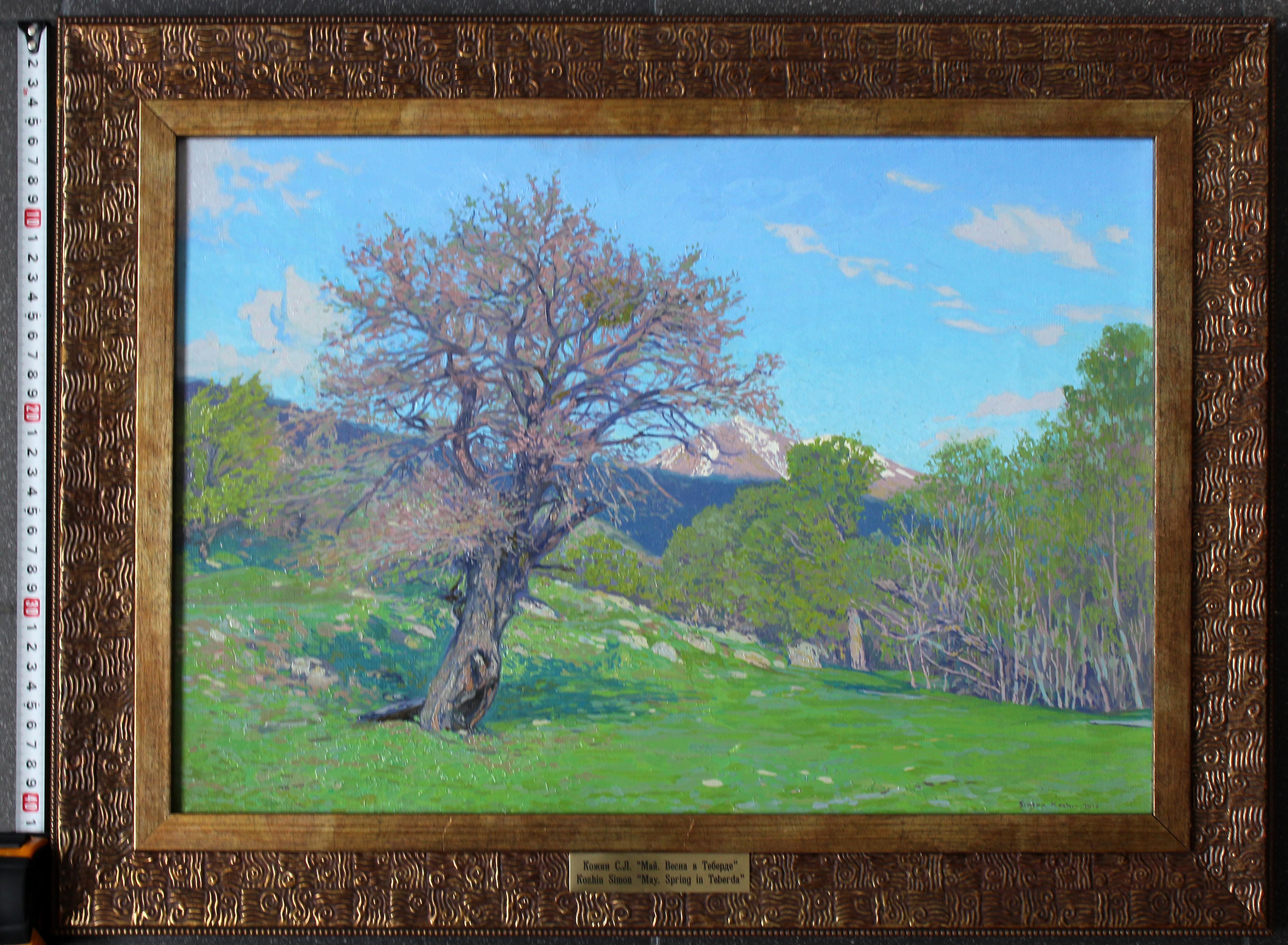 May. Spring in Teberda For Sale 9