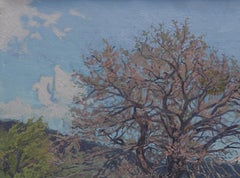 May. Spring in Teberda