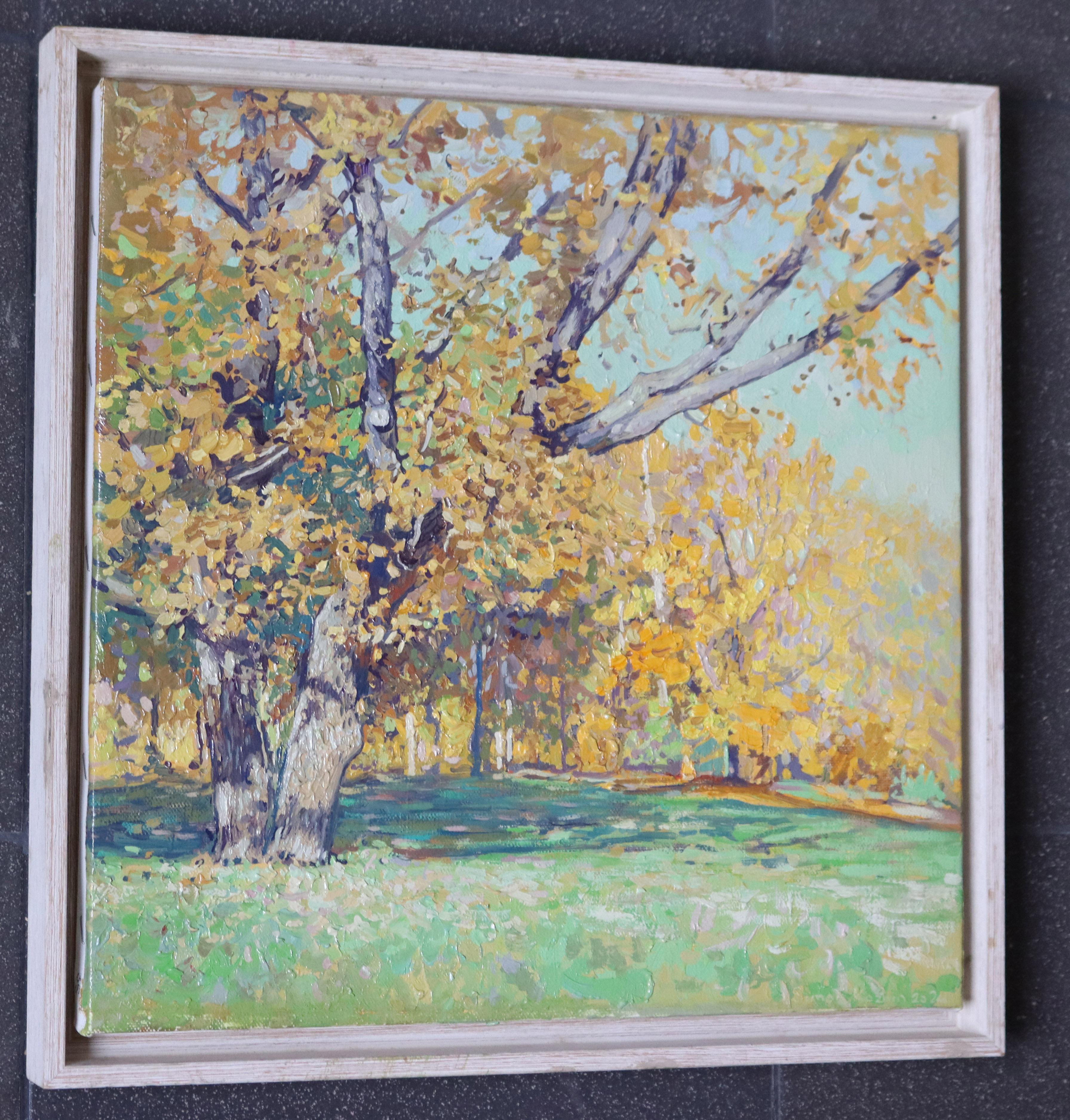 Oak tree in Tsaritsyno in October For Sale 6