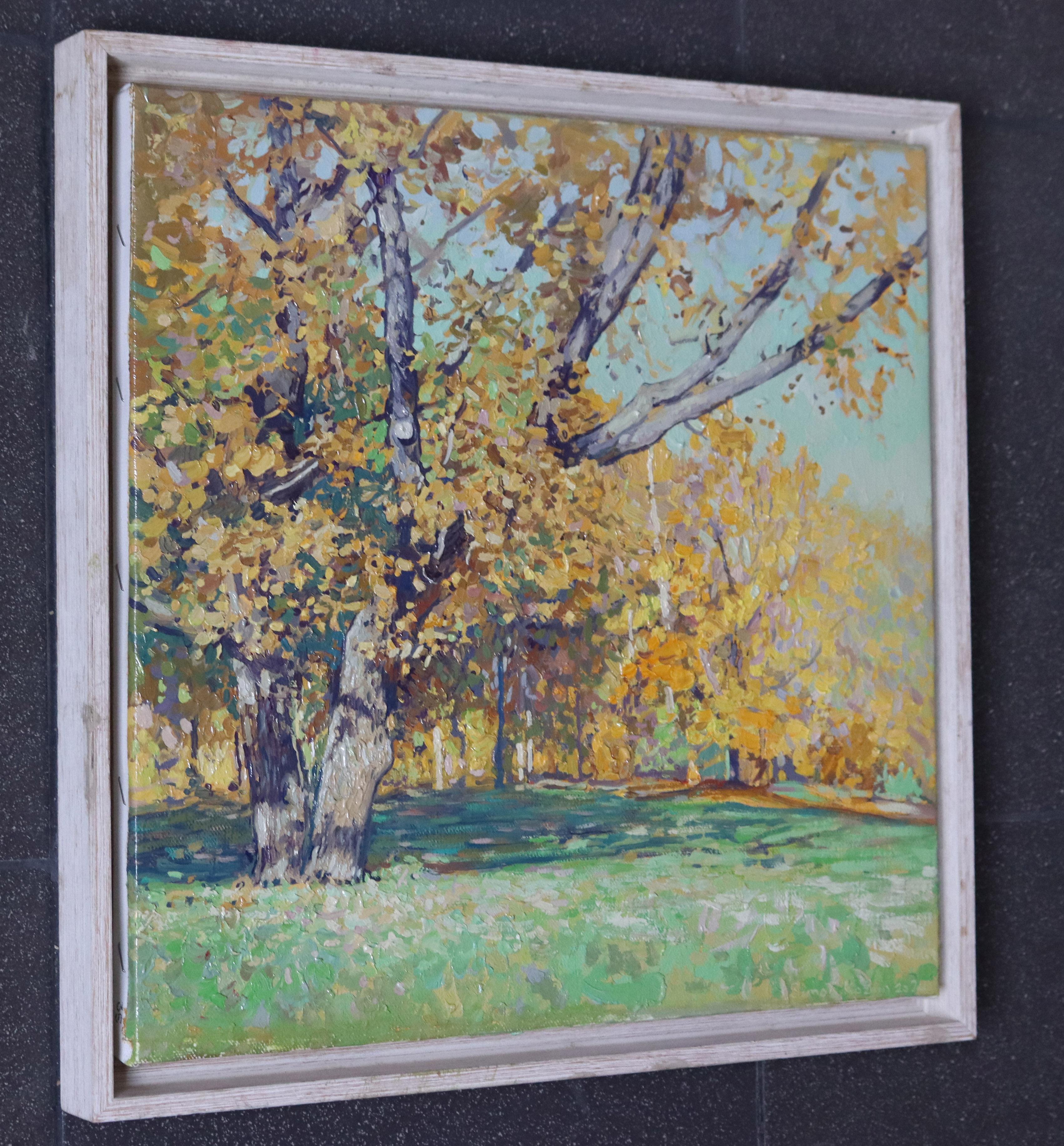 Oak tree in Tsaritsyno in October For Sale 7