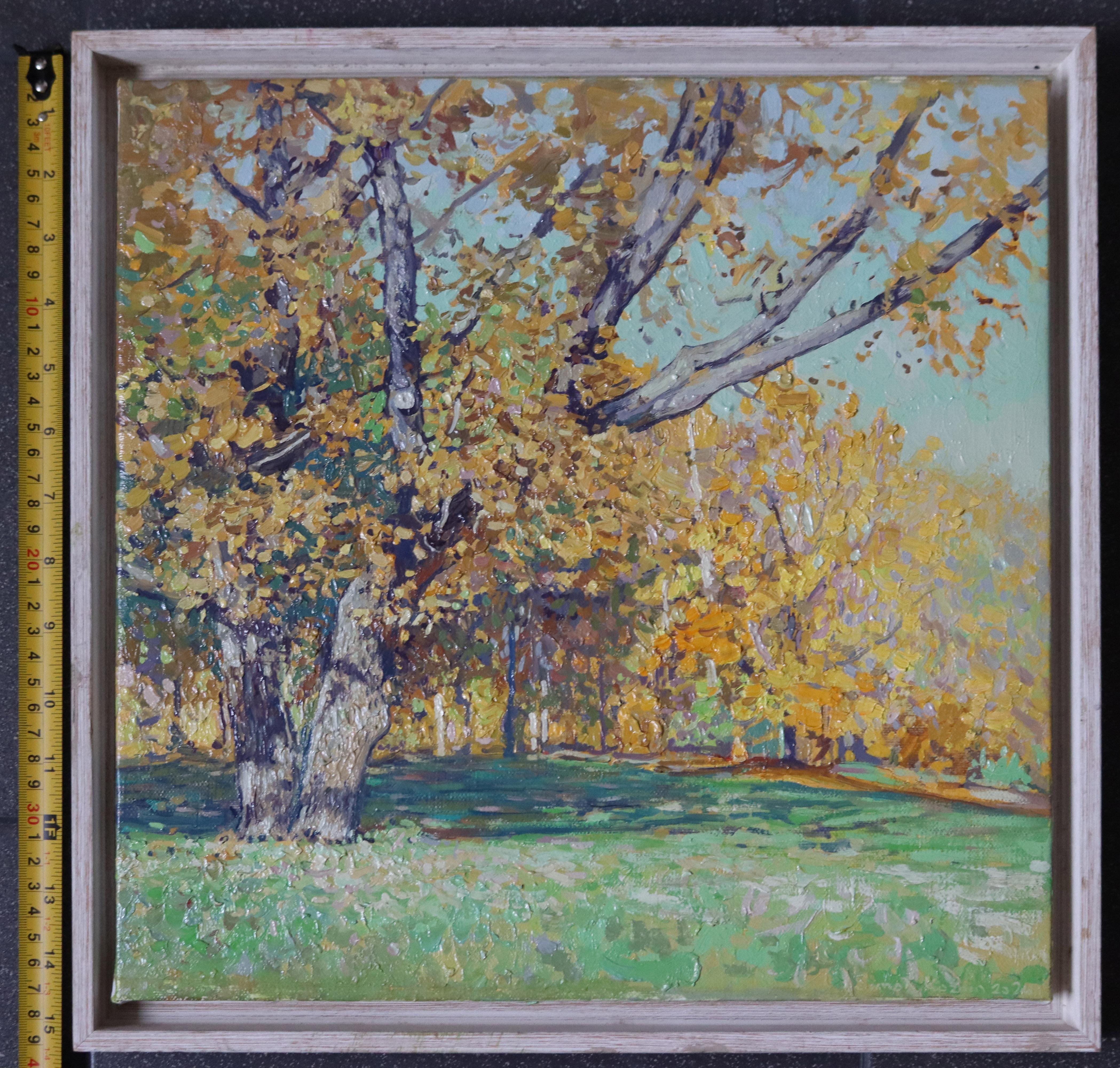 Oak tree in Tsaritsyno in October For Sale 8