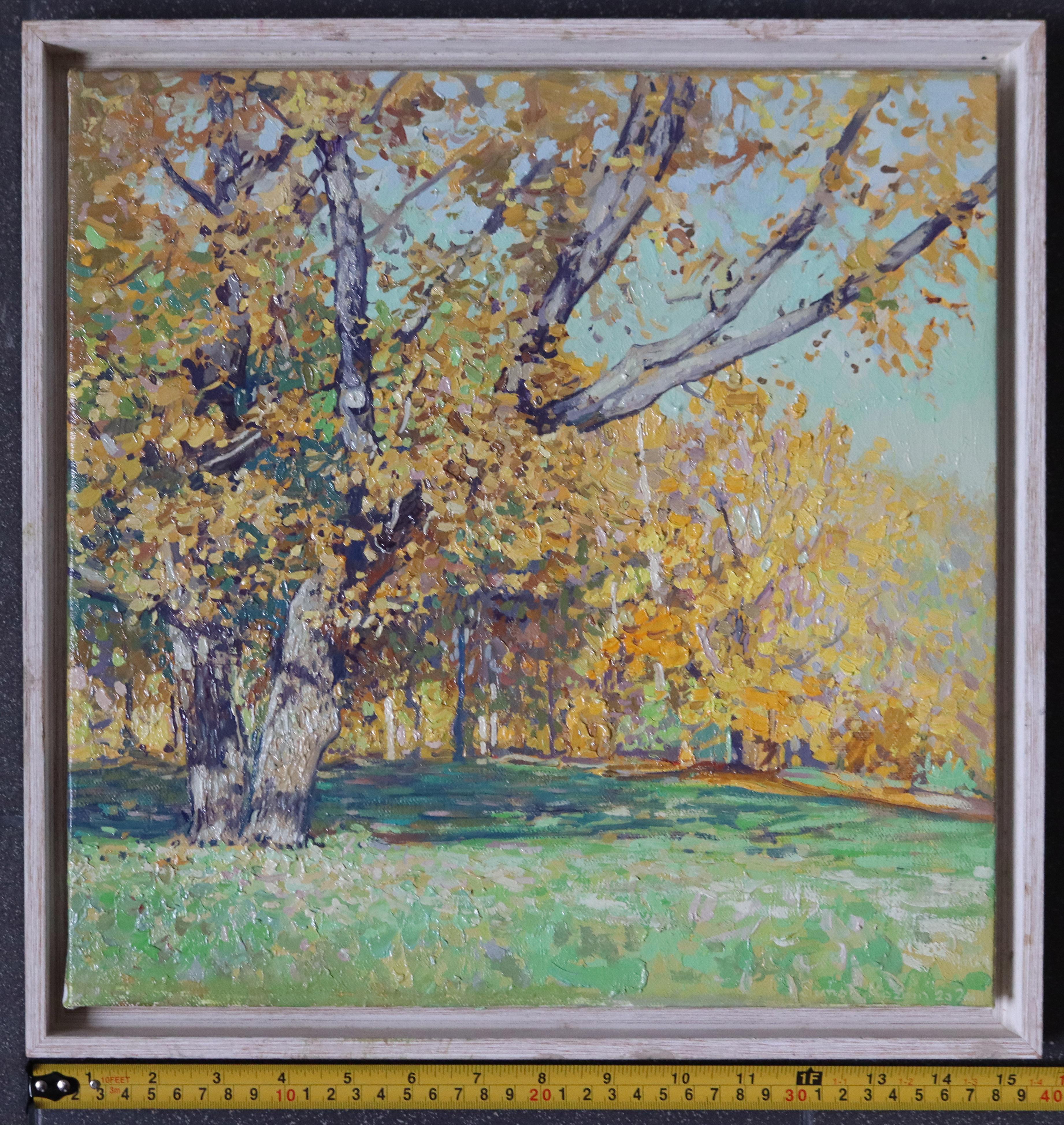 Oak tree in Tsaritsyno in October For Sale 9