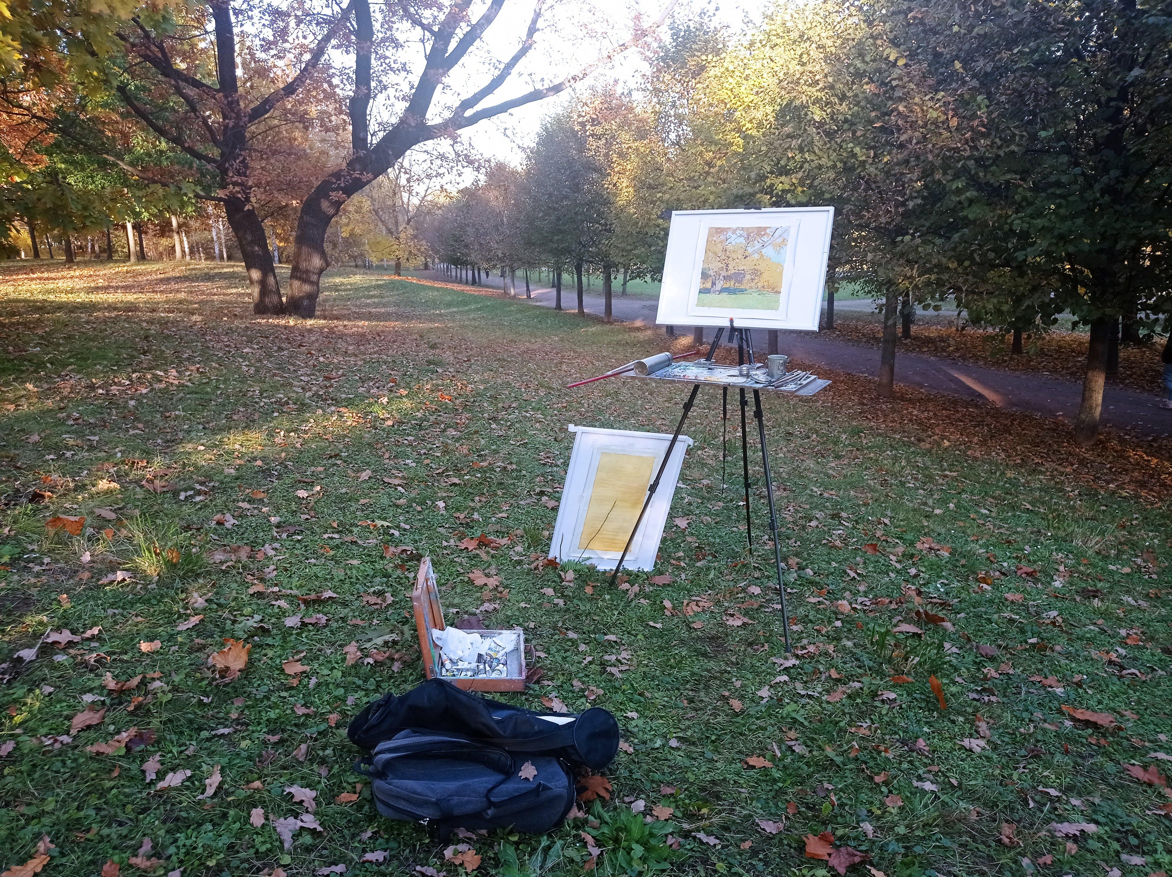Oak tree in Tsaritsyno in October For Sale 15