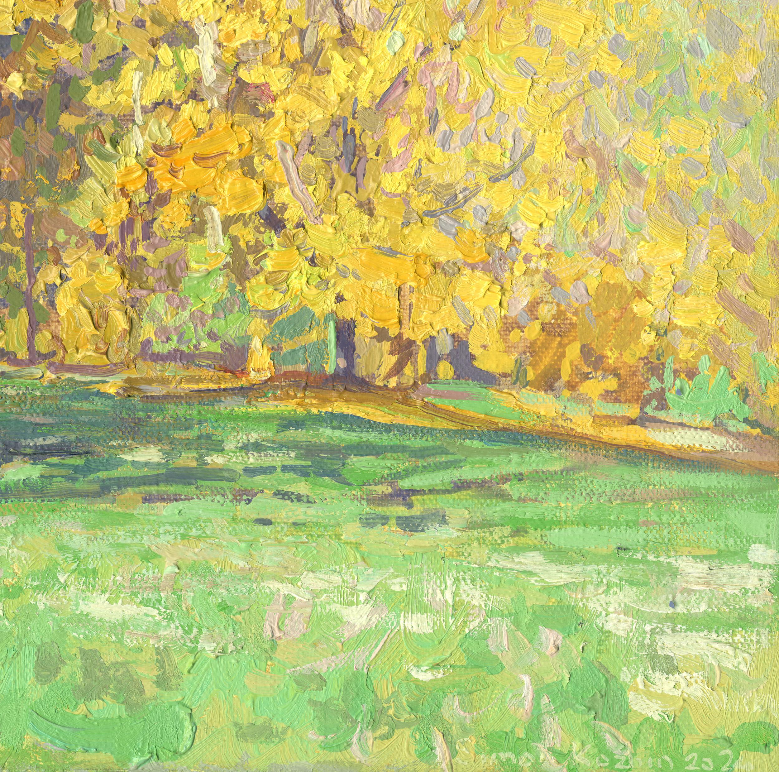 Oak foliage turns a rich ochre color as early as the second half of October, when some maple trees have already shed their leaves. The foliage is always muted in hue, even closer to bronze than gold. This oak tree, over 100 years old, with its