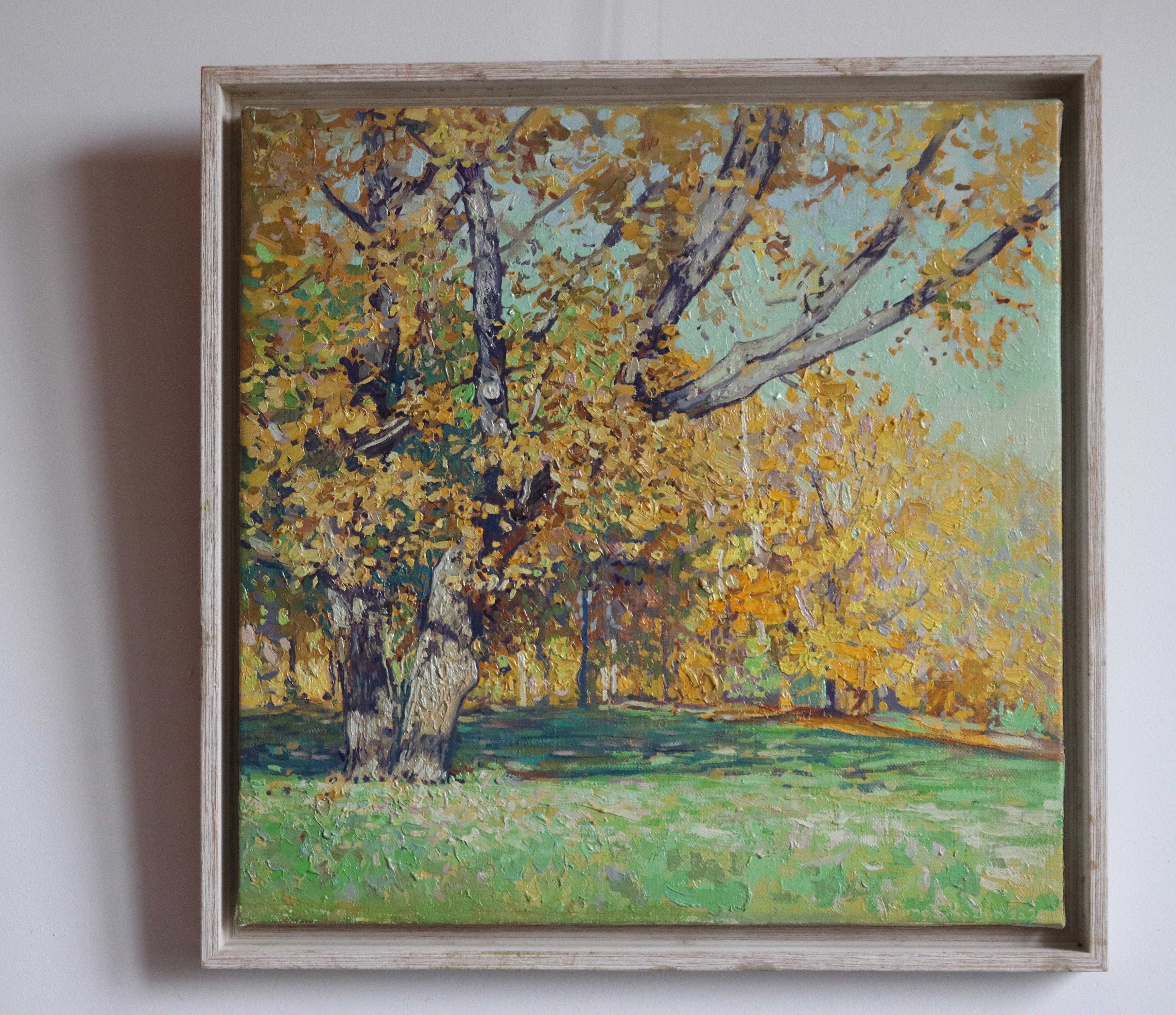 Oak tree in Tsaritsyno in October For Sale 2