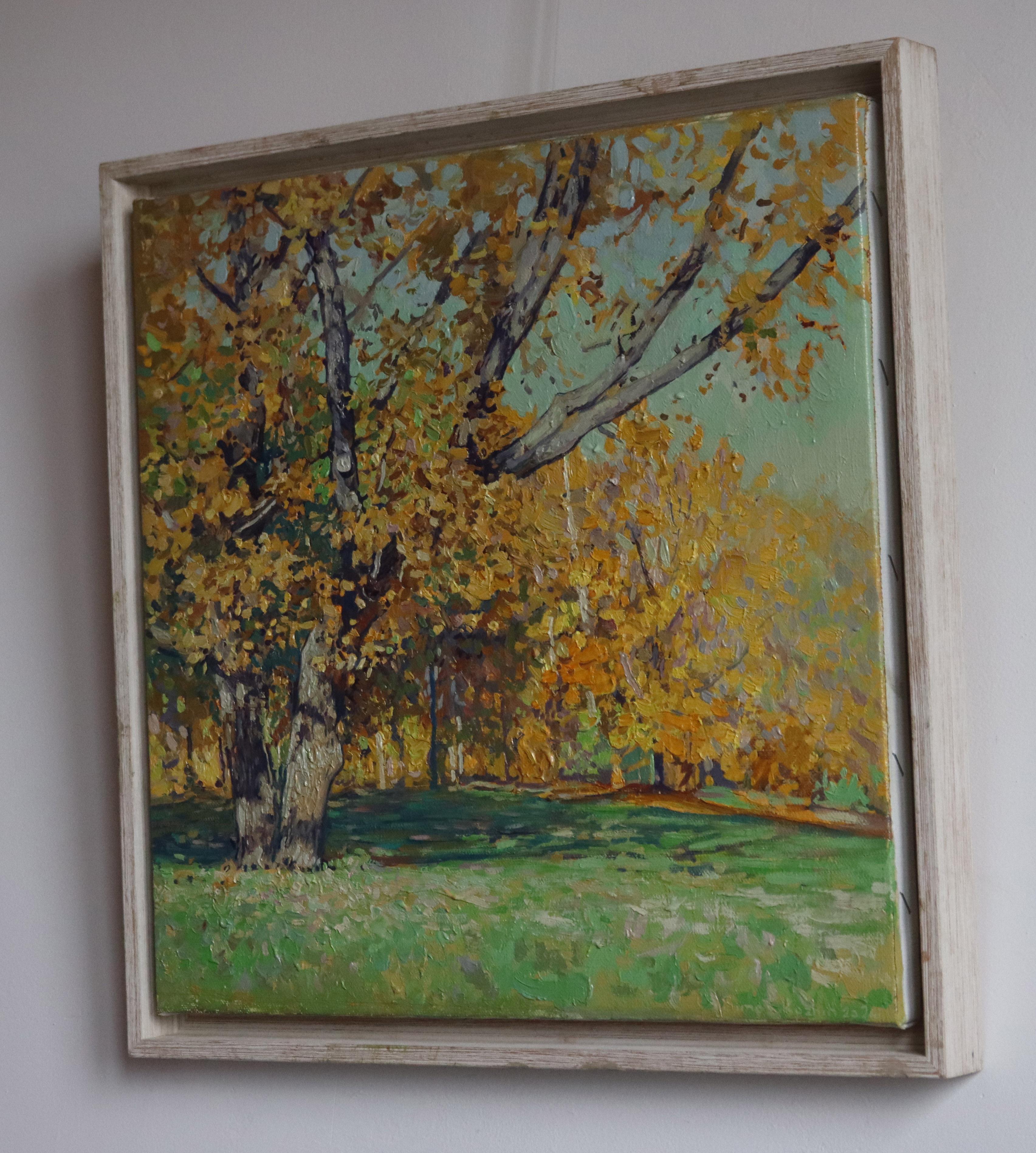 Oak tree in Tsaritsyno in October For Sale 3