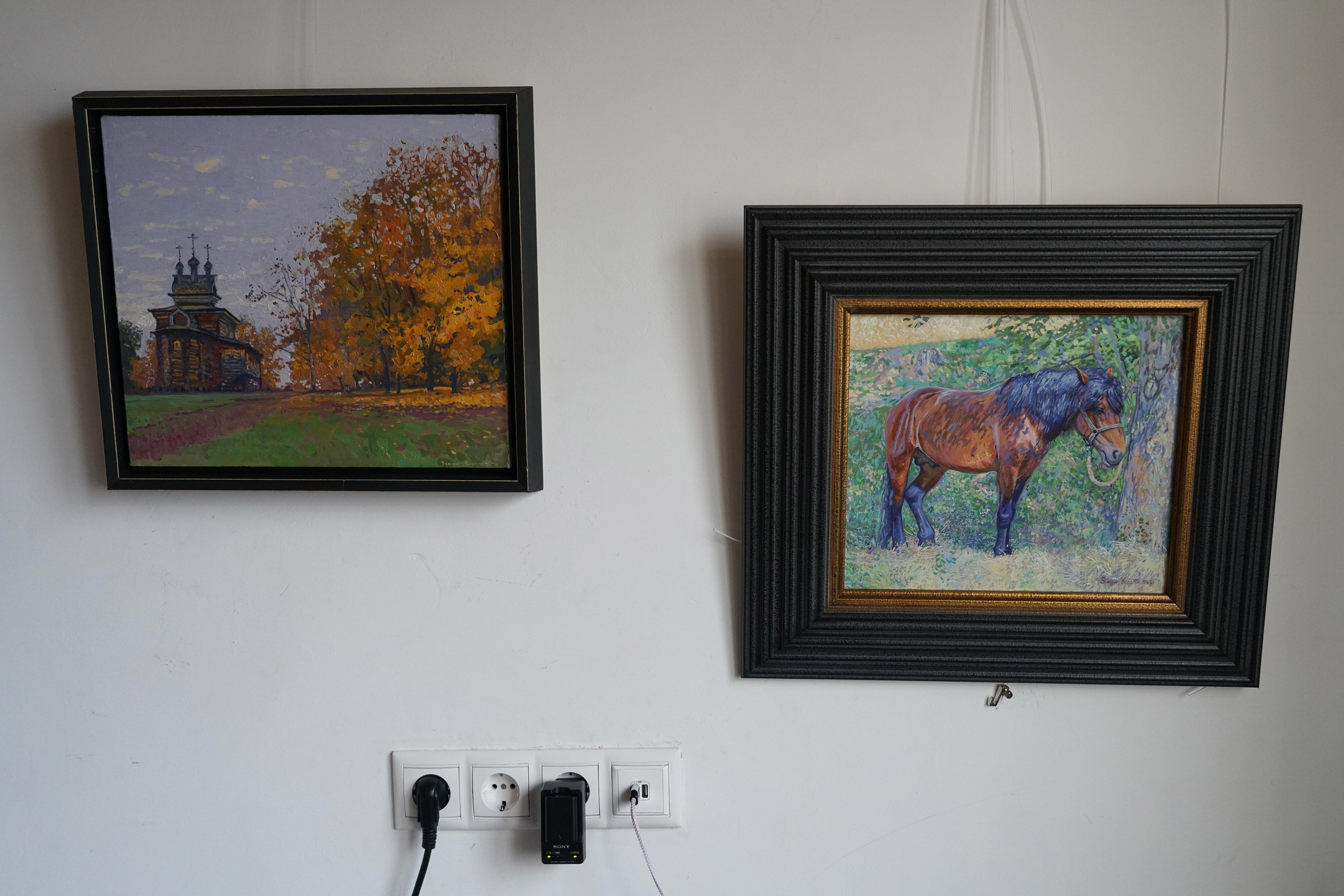 Érables d'octobre près de la Church's en vente 11