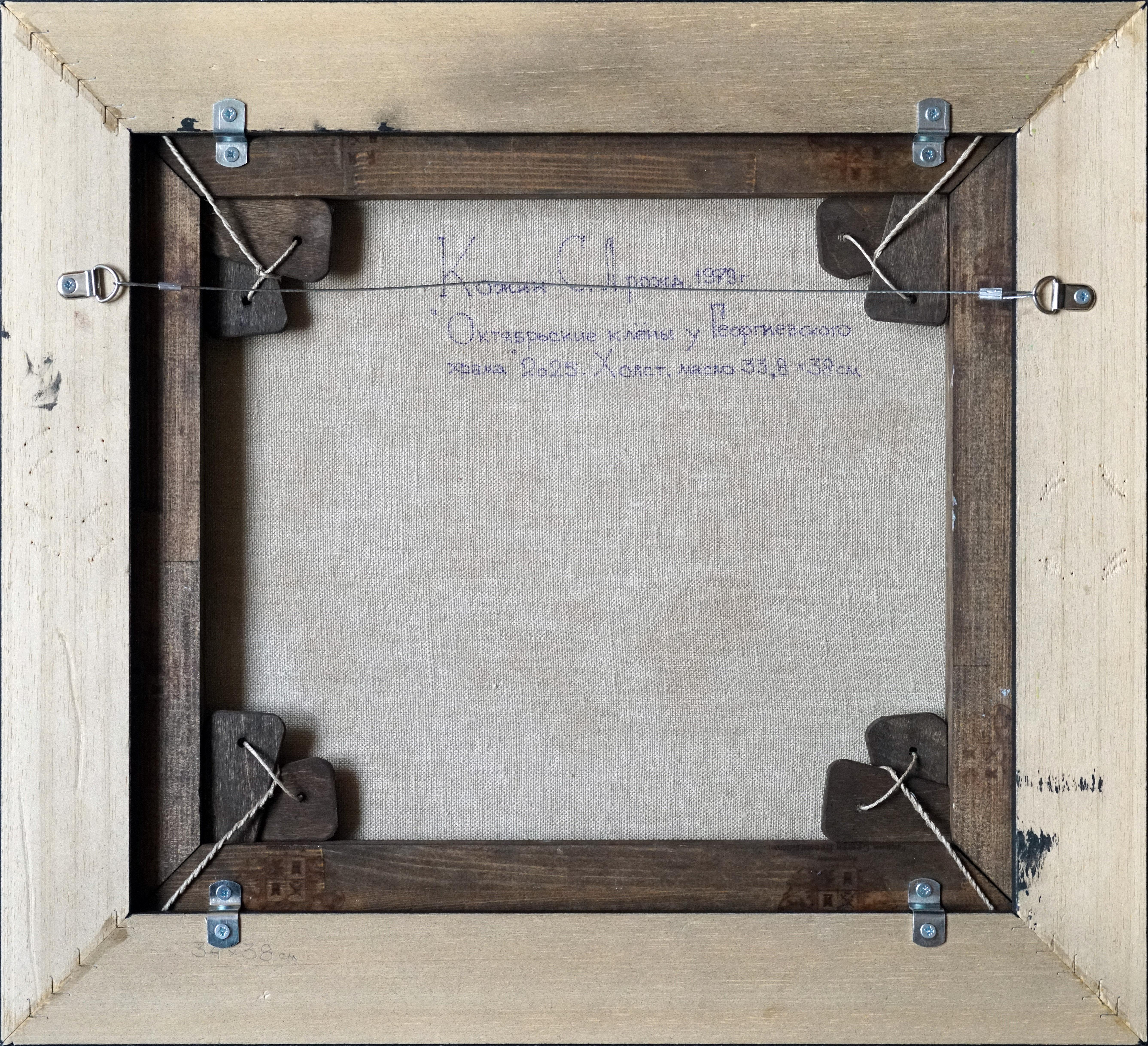 Érables d'octobre près de la Church's en vente 3