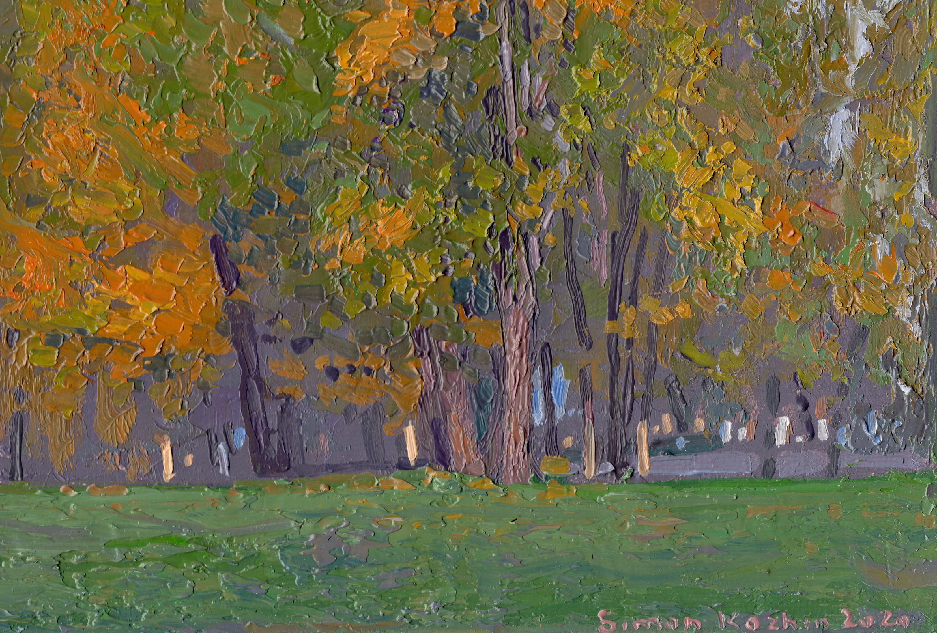 Come mai prima d'ora, quest'anno la natura ci ha regalato un autunno lungo e caldo. Questo semplice motivo nel parco con betulle, salici e querce, con una differenza di consistenza e colore. Volevo creare un'immagine del luogo e l'impressione di ciò
