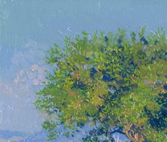 Olive tree on the Dassia