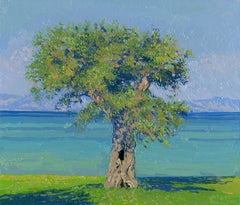 Olivo en la Dassia