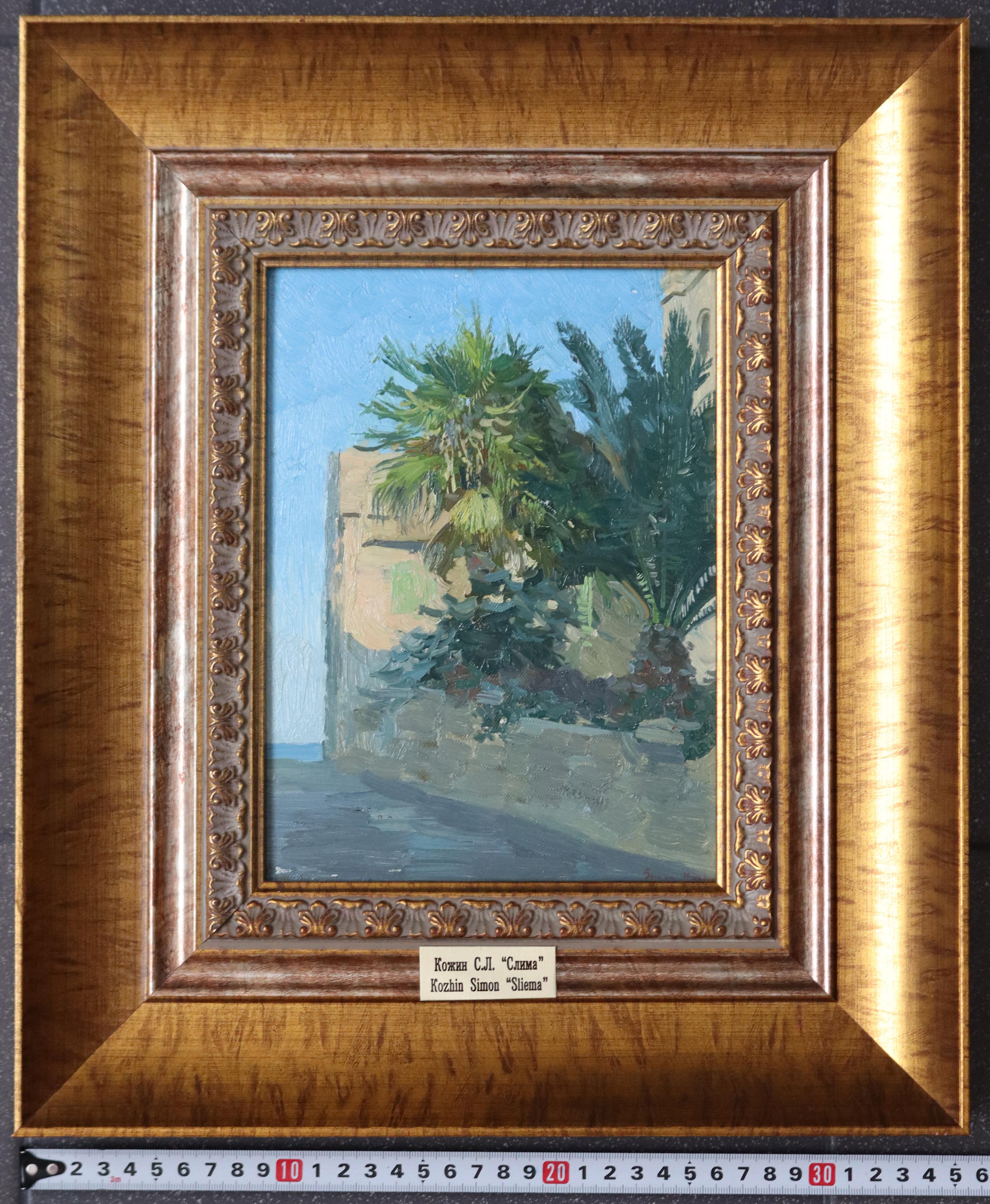 Palm trees. Sliema For Sale 5