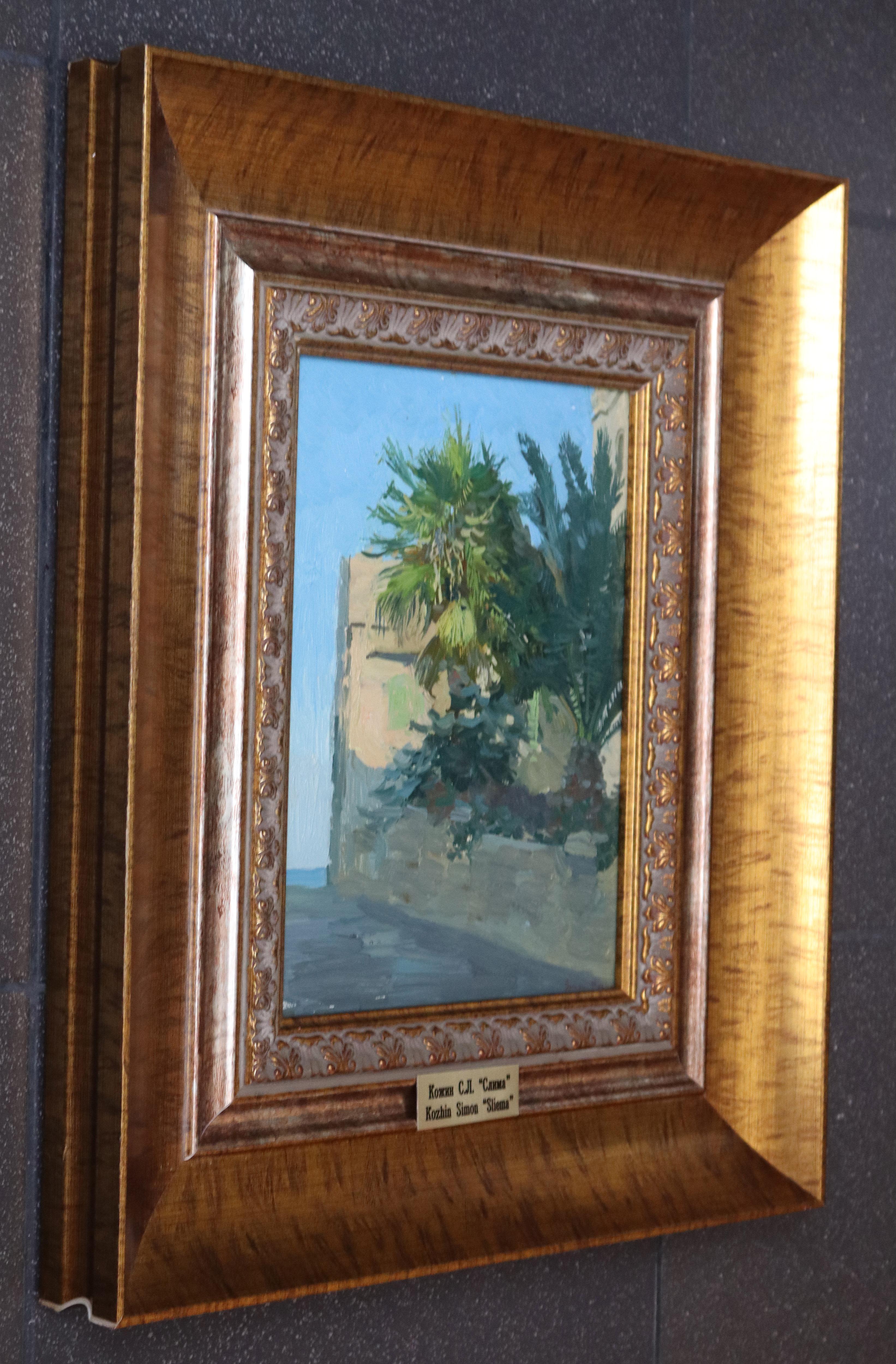 Palm trees. Sliema For Sale 3