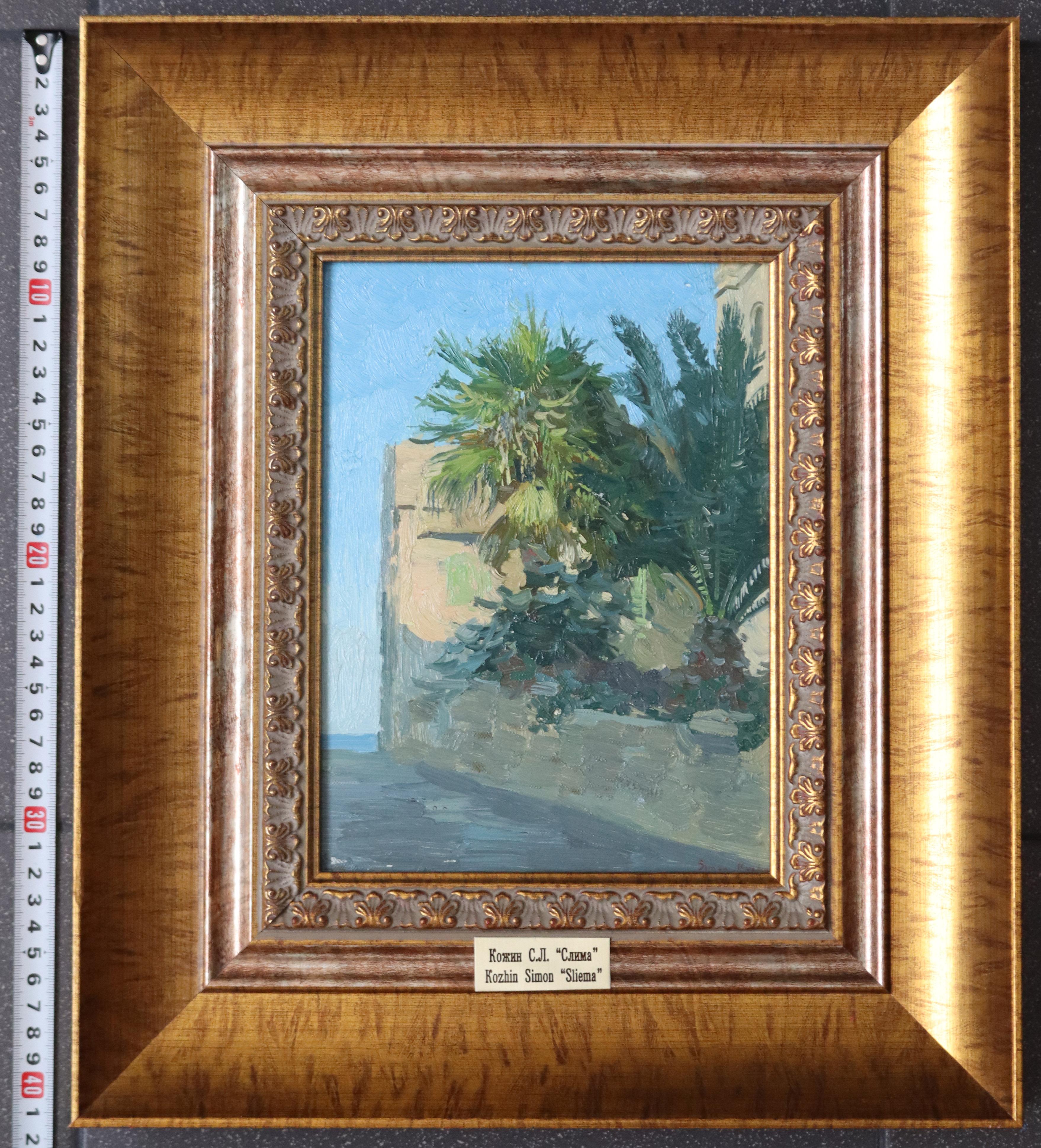 Palm trees. Sliema For Sale 4